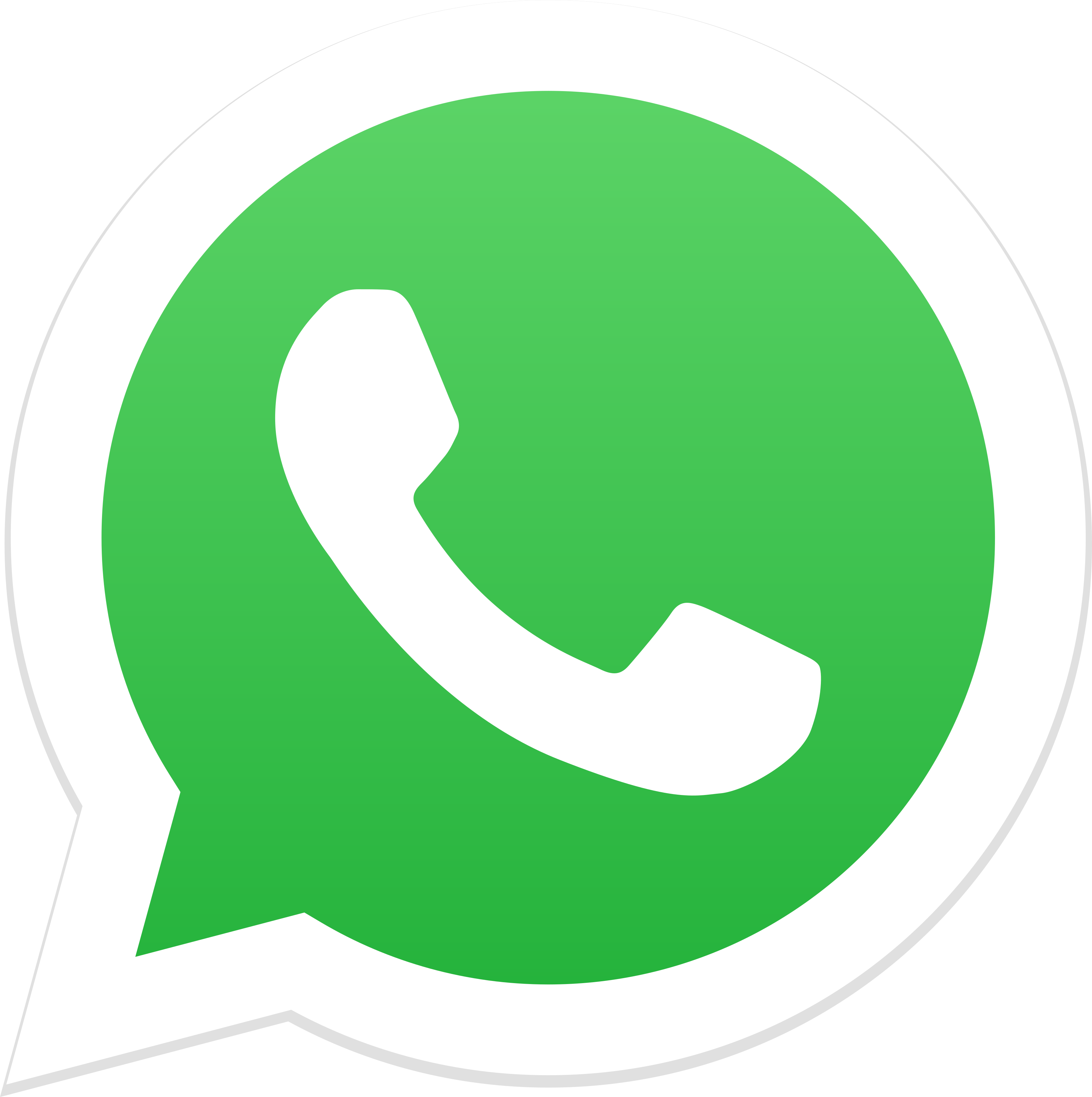 Whatsapp Logo - PNG e Vetor - Download de Logo