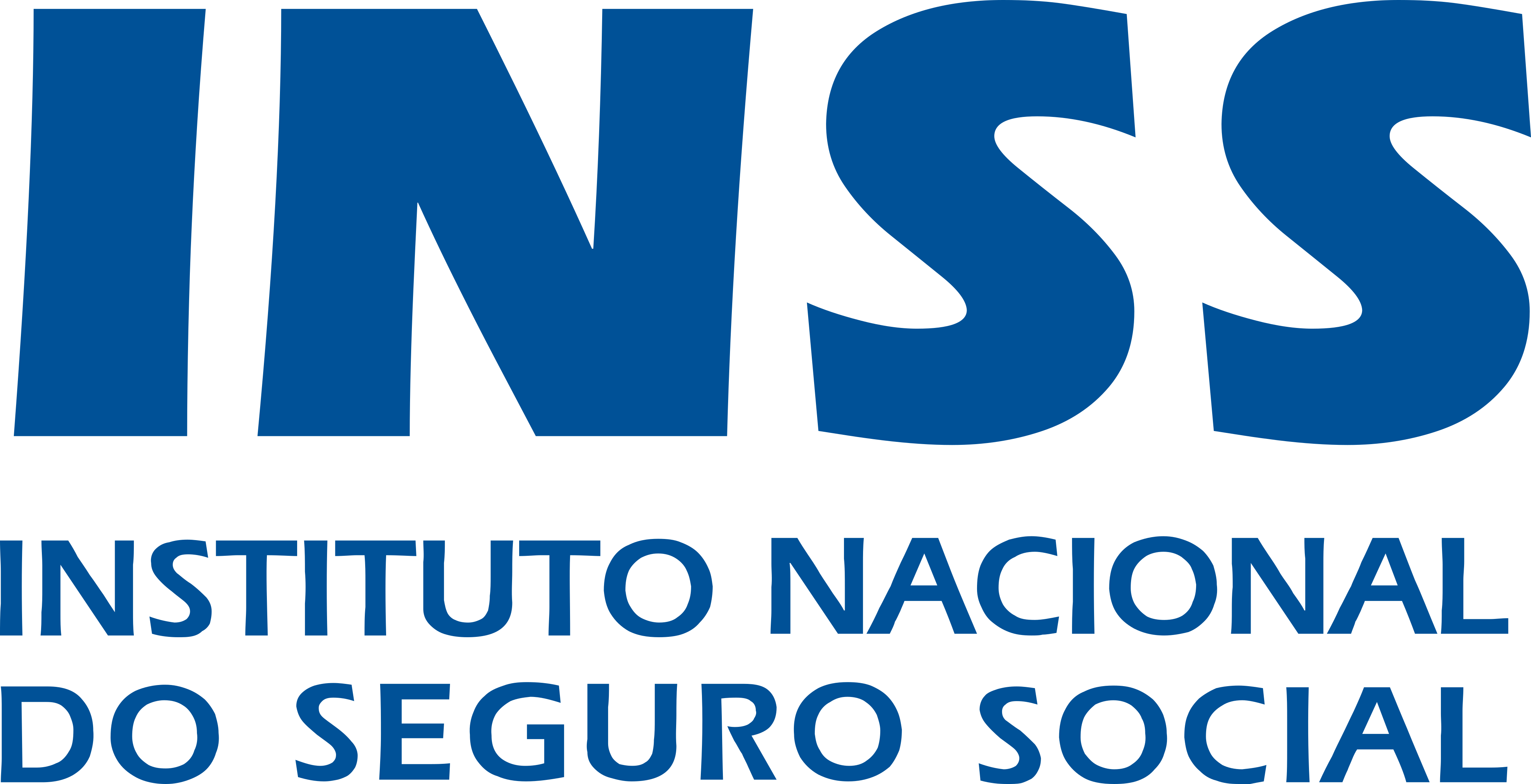 INSS Logo.
