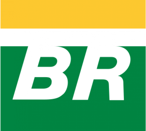 BR Distribuidora Logo.