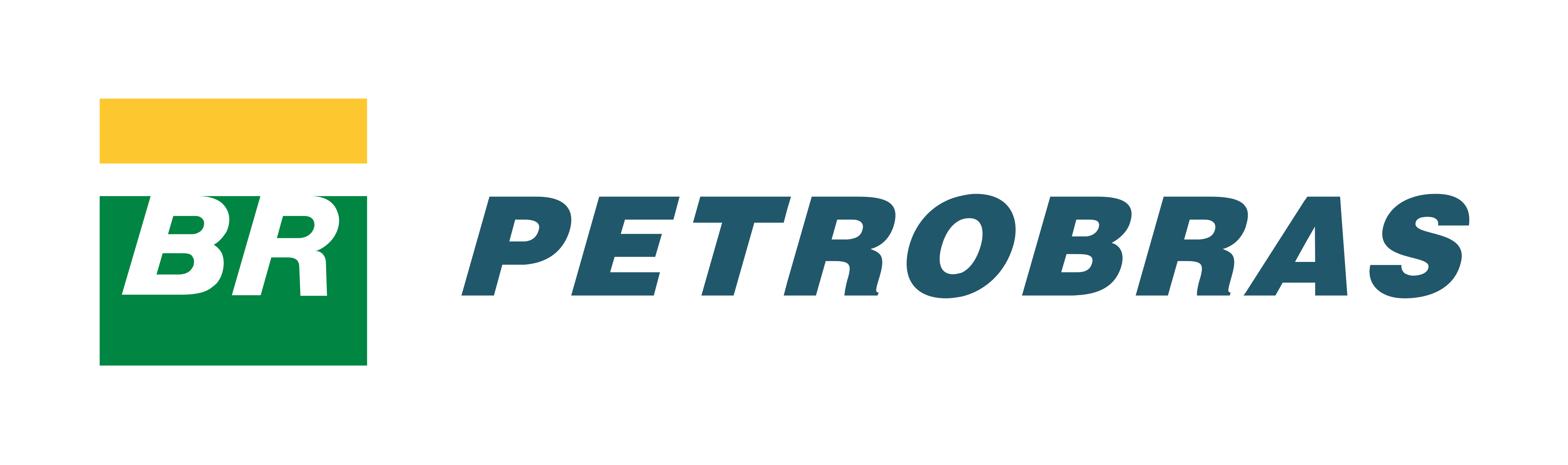 Petrobras Logo.