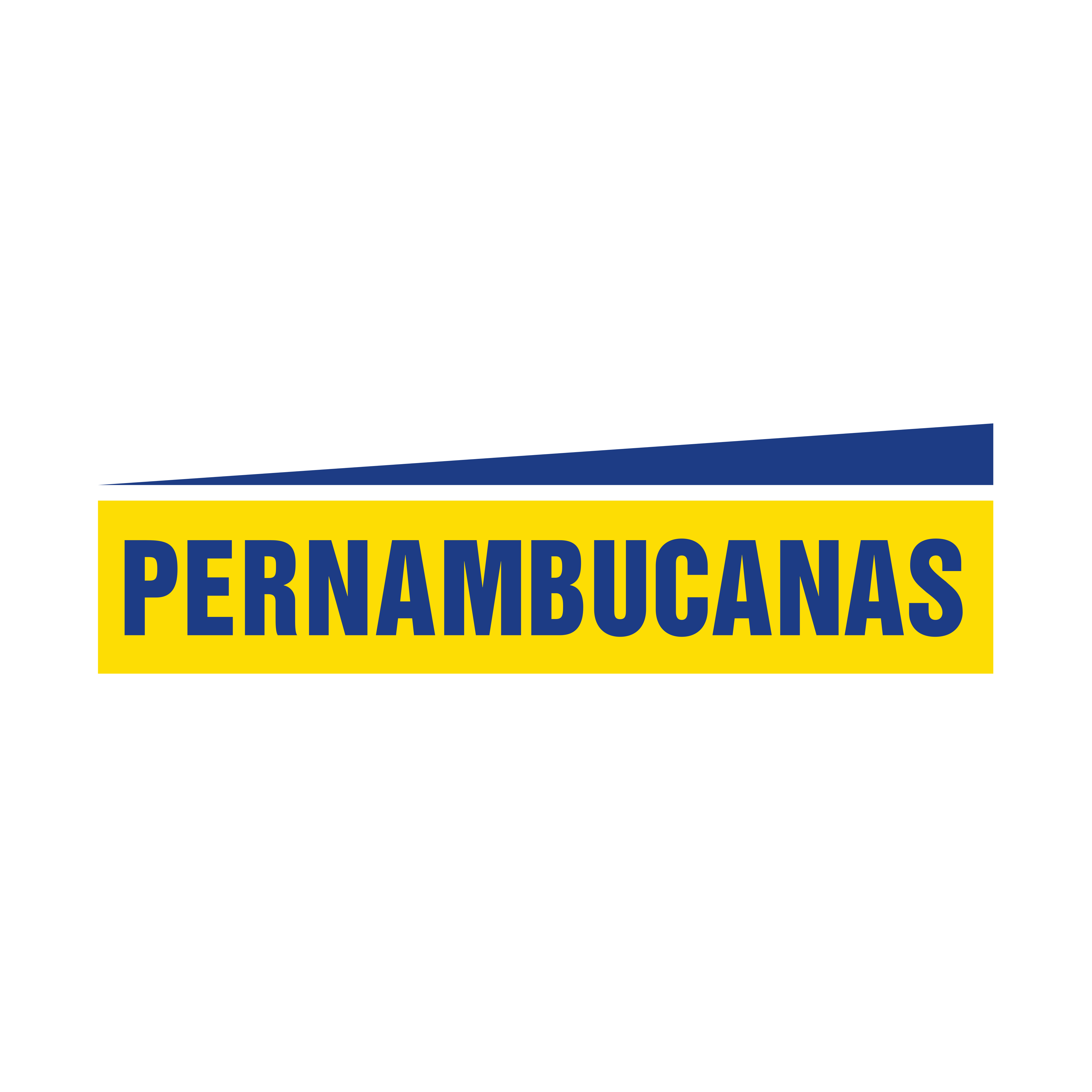 Pernambucanas Logo PNG.