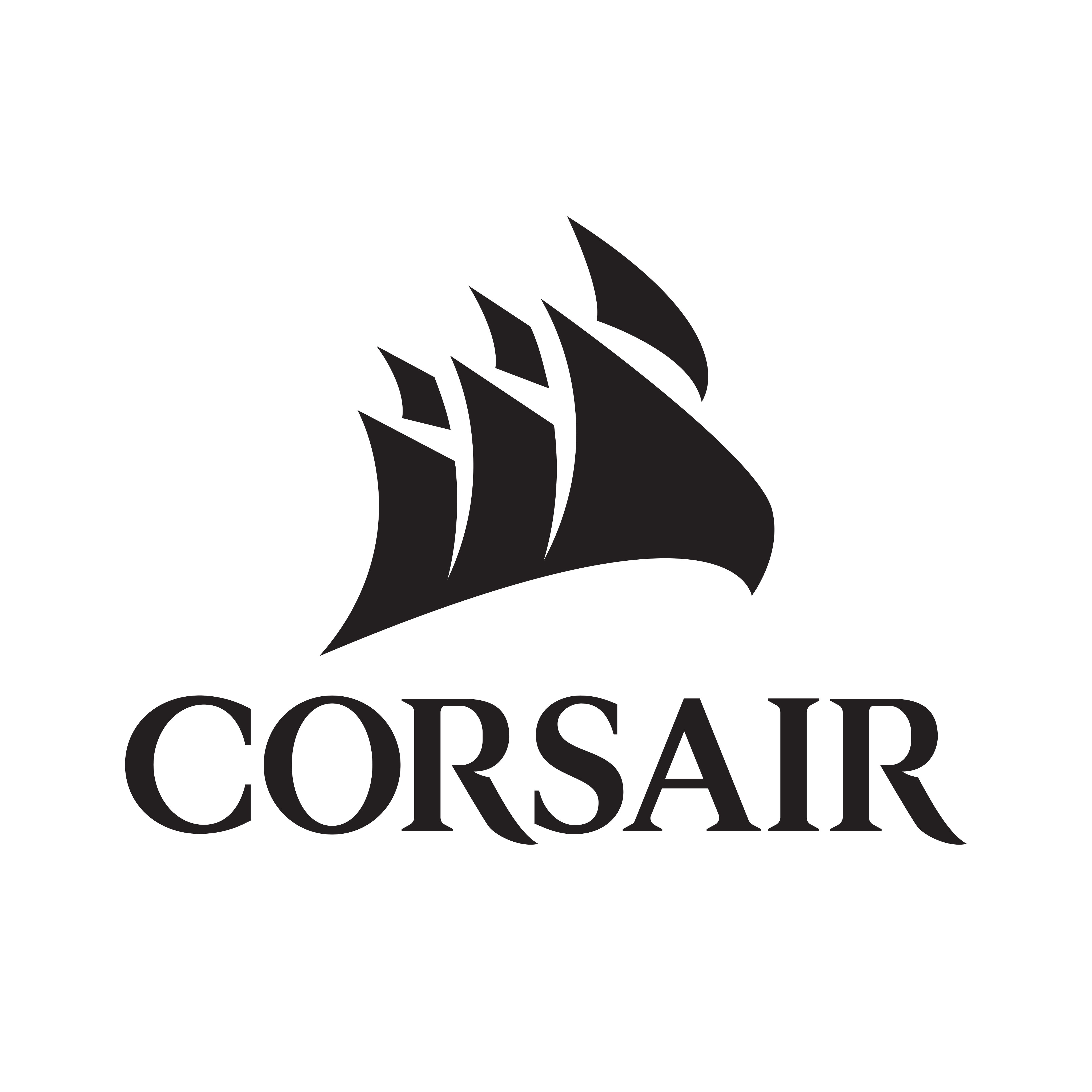 Corsair Logo - PNG and Vector - Logo Download