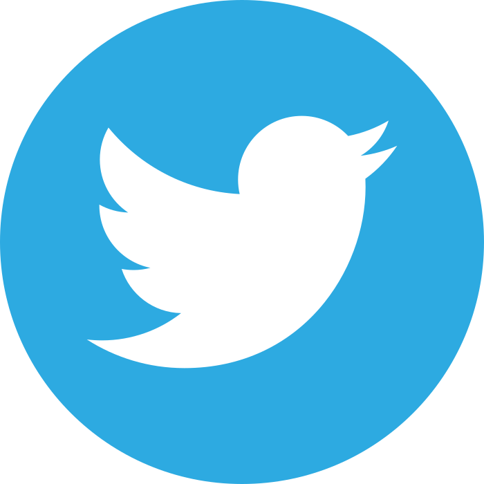 Twitter Logo - PNG e Vetor - Download de Logo