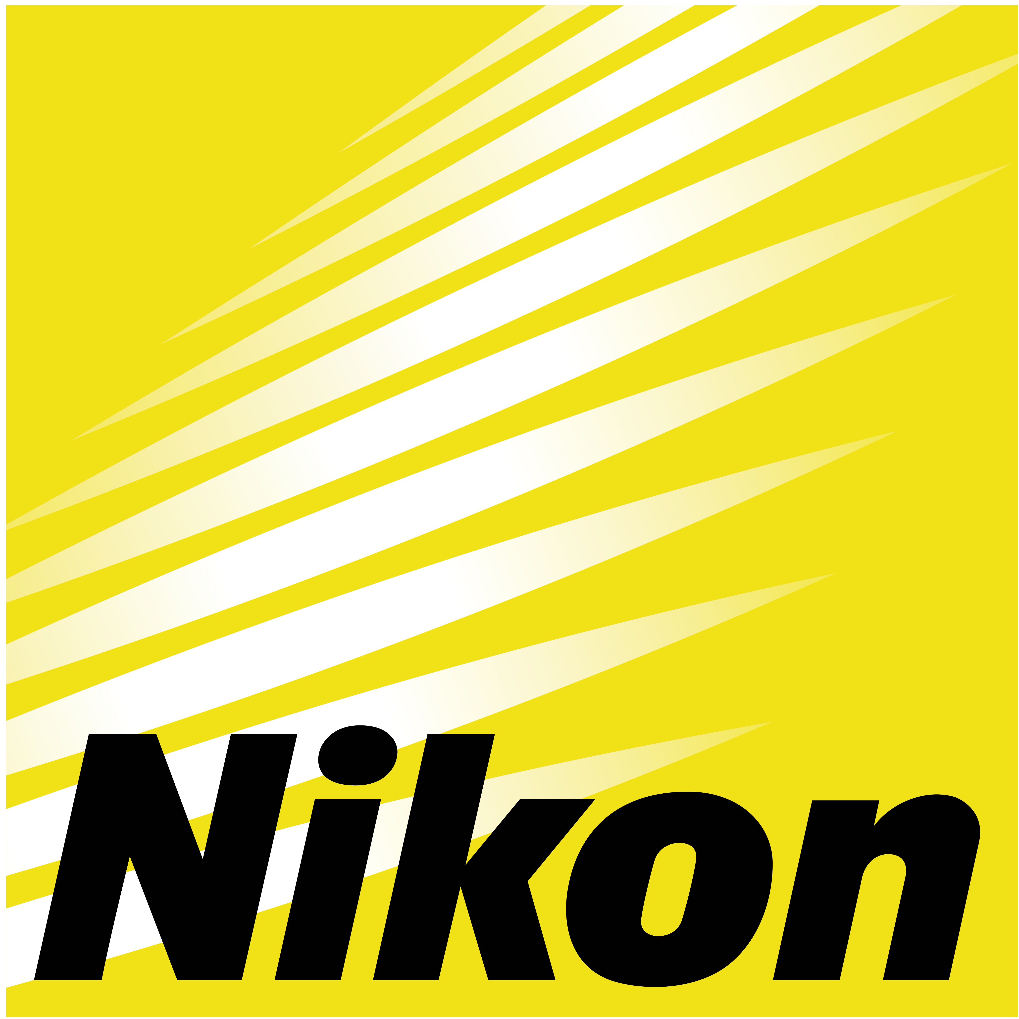 Nikon logo 8 - Nikon Logo