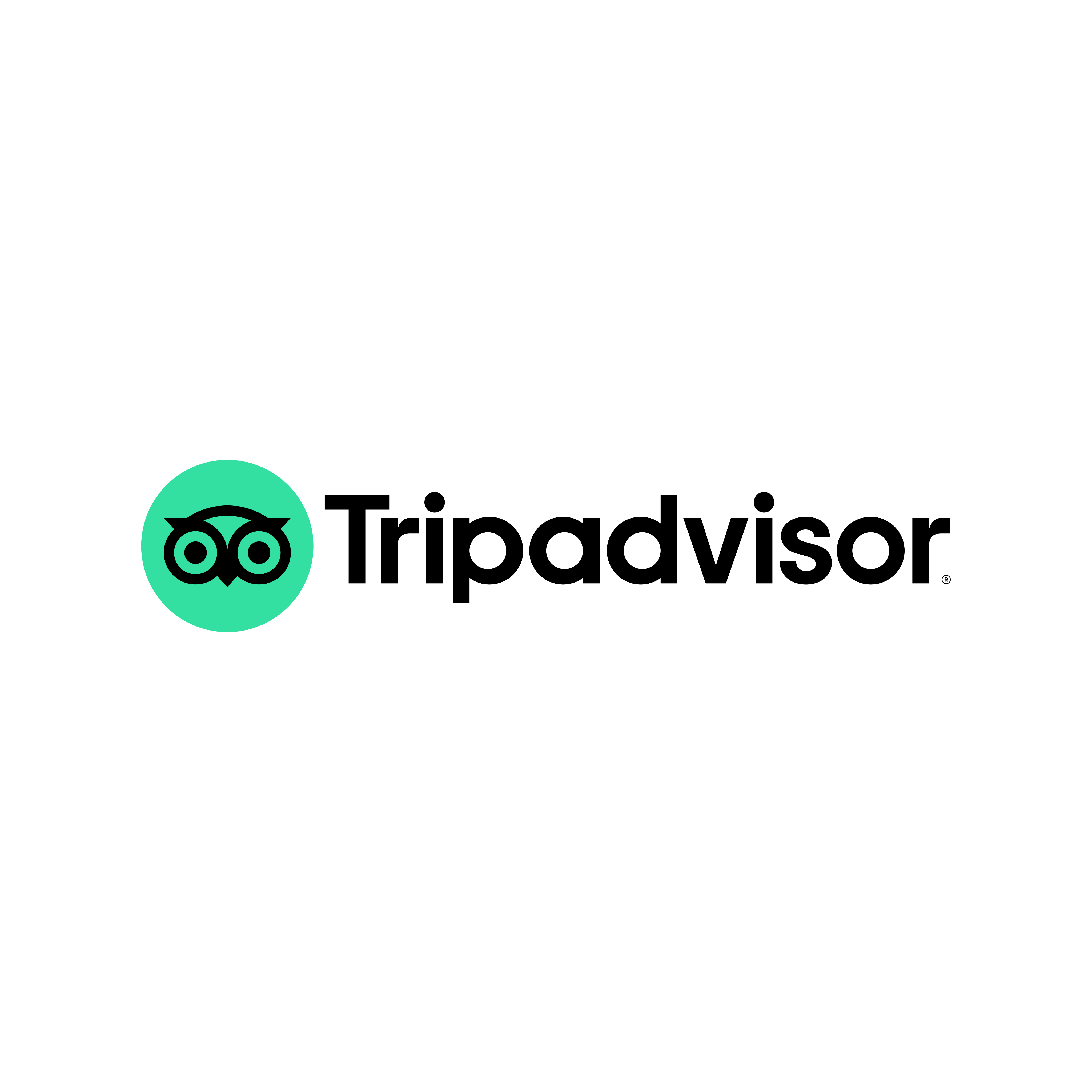 TripAdvisor Logo Transparent