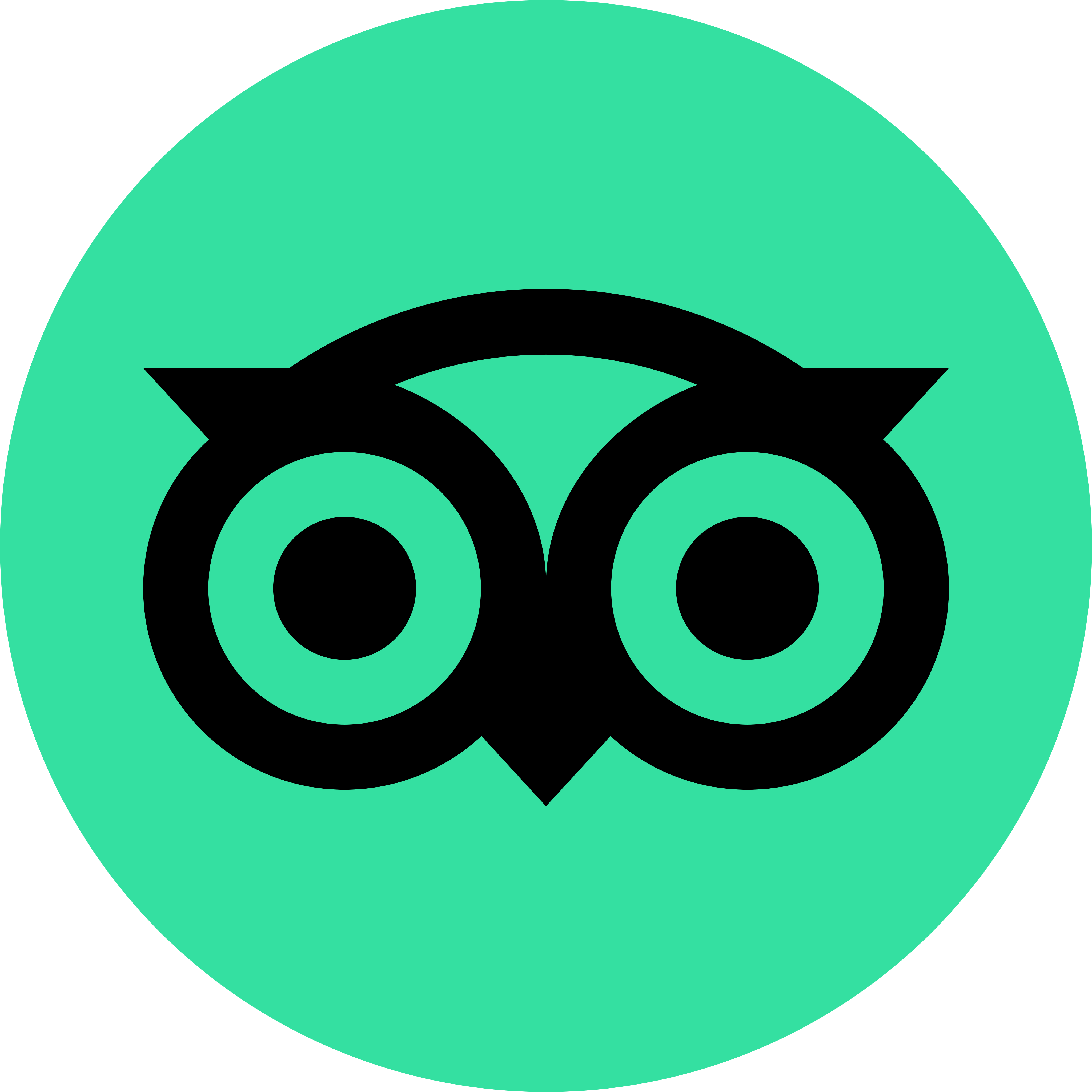 Tripadvisor Logo Png PNG Image Collection