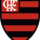 Flamengo Logo, Escudo novo.