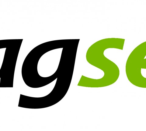 Pagseguro Logo.