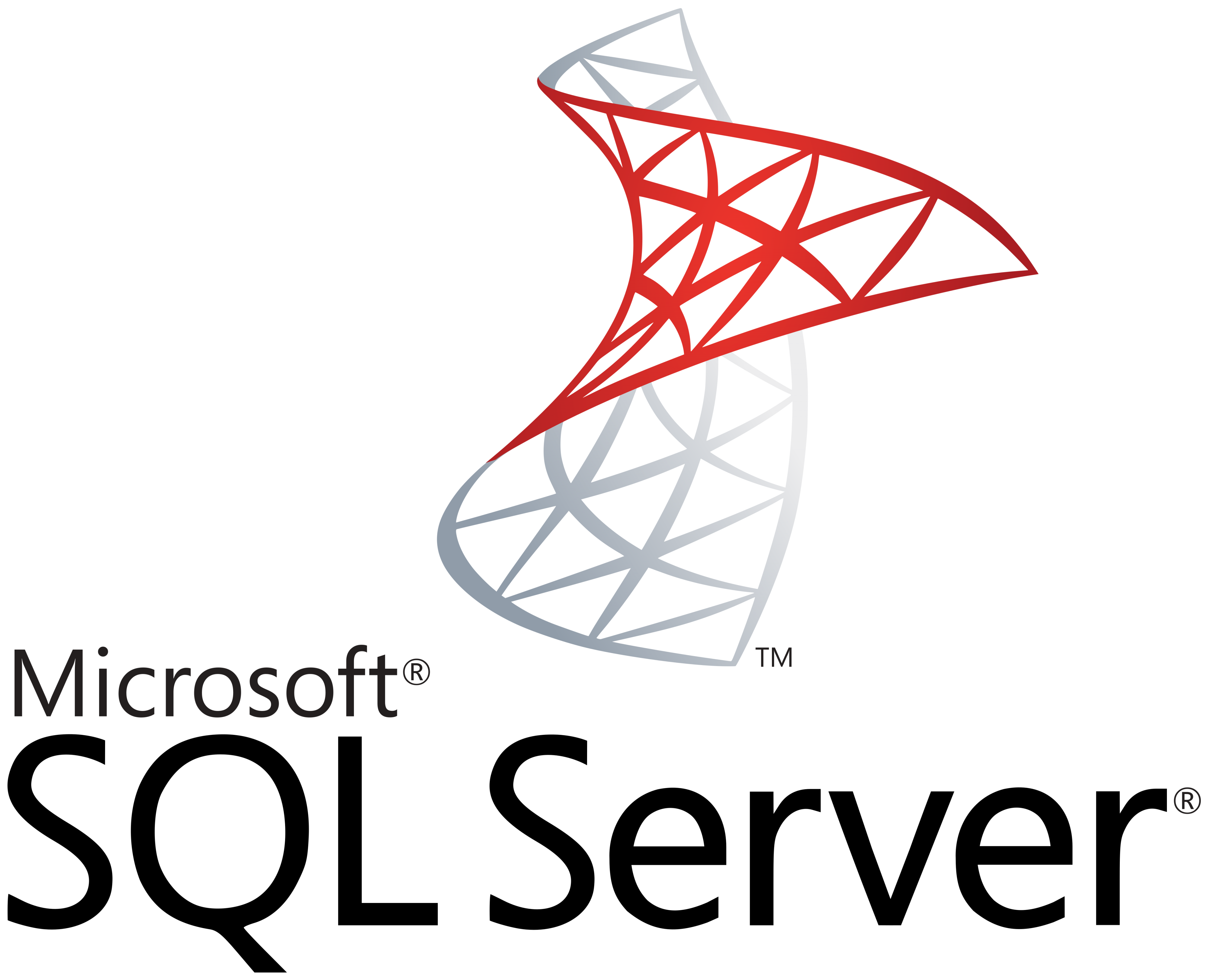 Microsoft SQL Server logo.