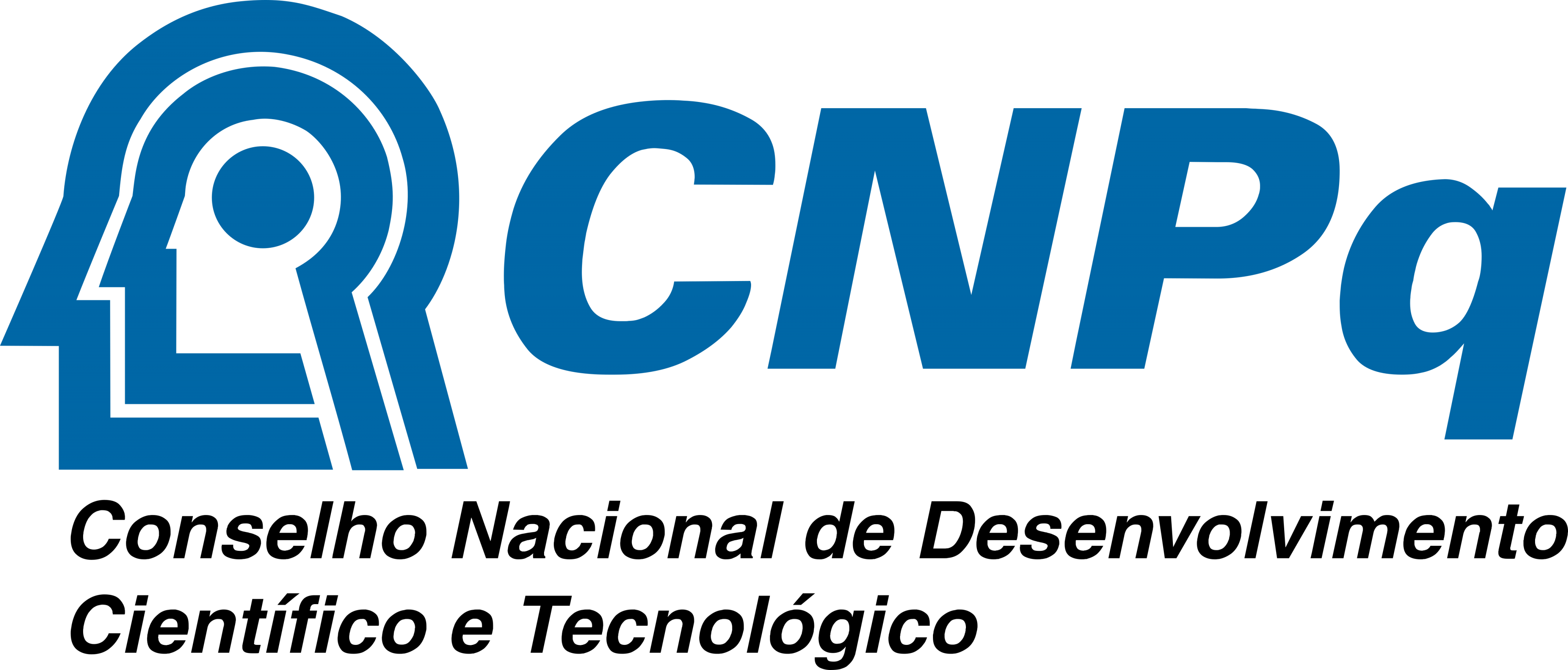 cnpq logo.
