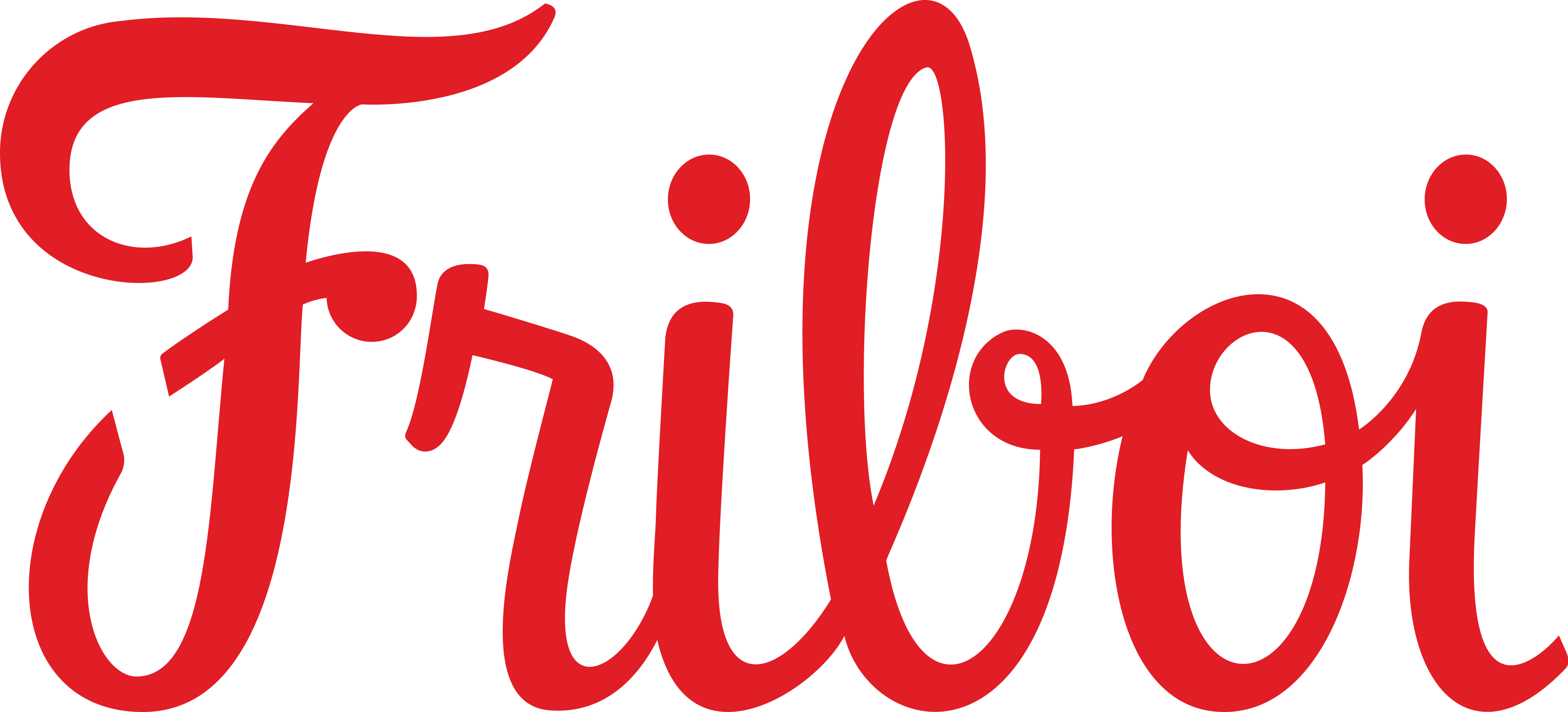 Friboi Logo.