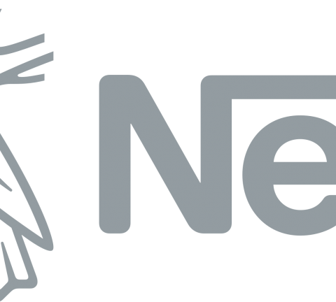 Nestlé Logo.