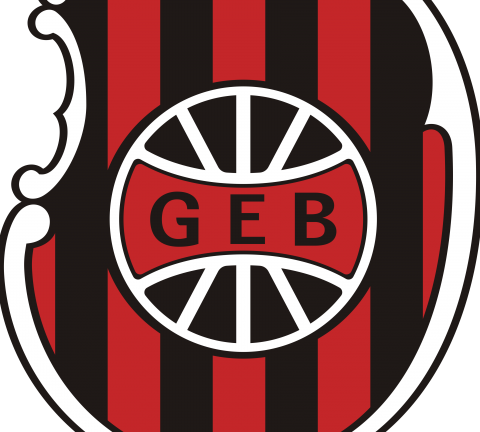 Brasil de Pelotas Logo, escudo.