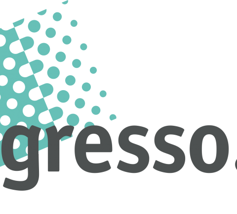 ingresso.com logo.