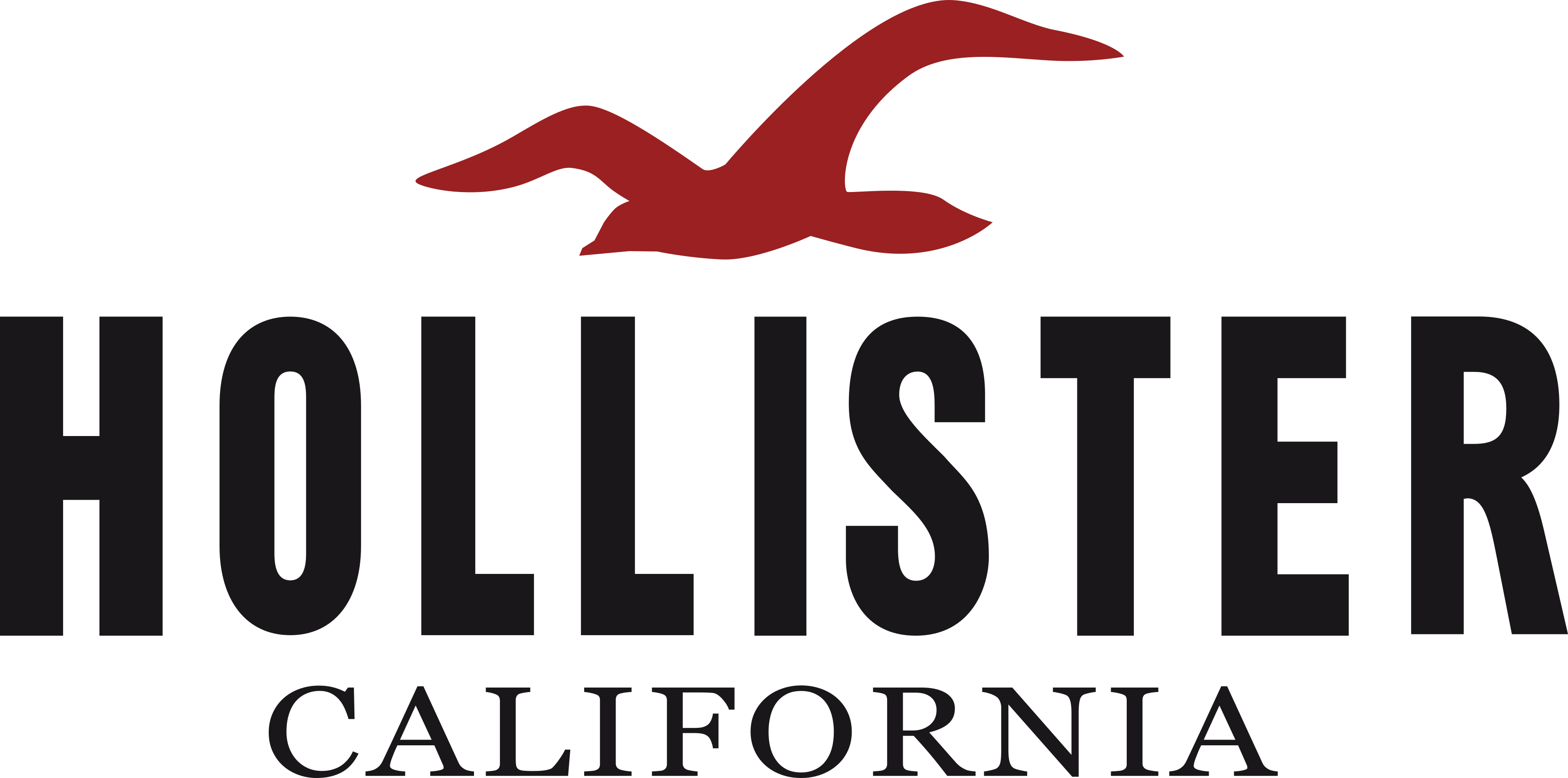 Hollister Co Logo.