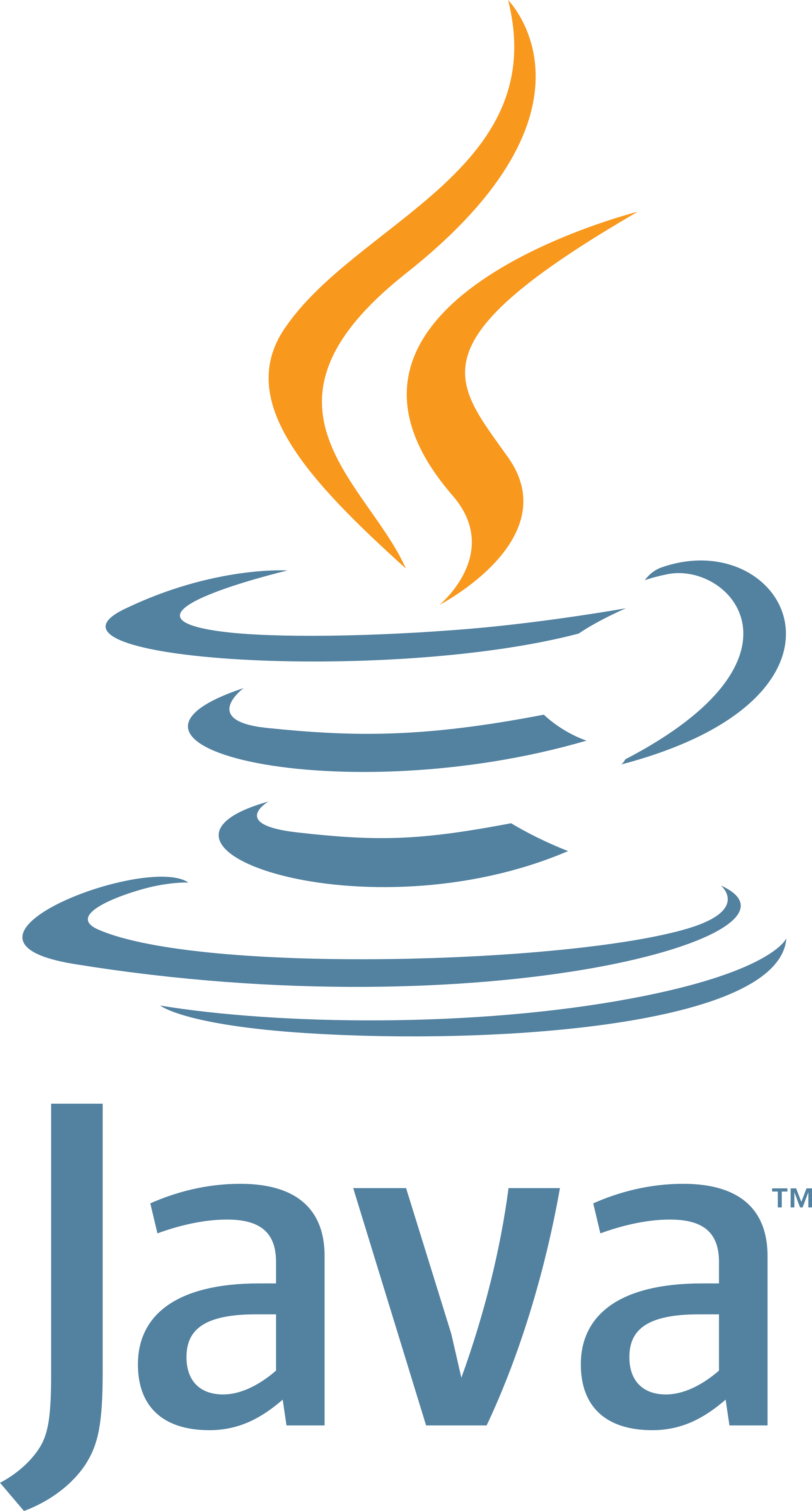 Java Logo.