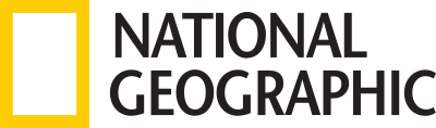 national geographic logo 5 - National Geographic Logo