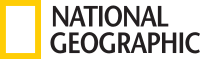 national geographic logo 6 - National Geographic Logo