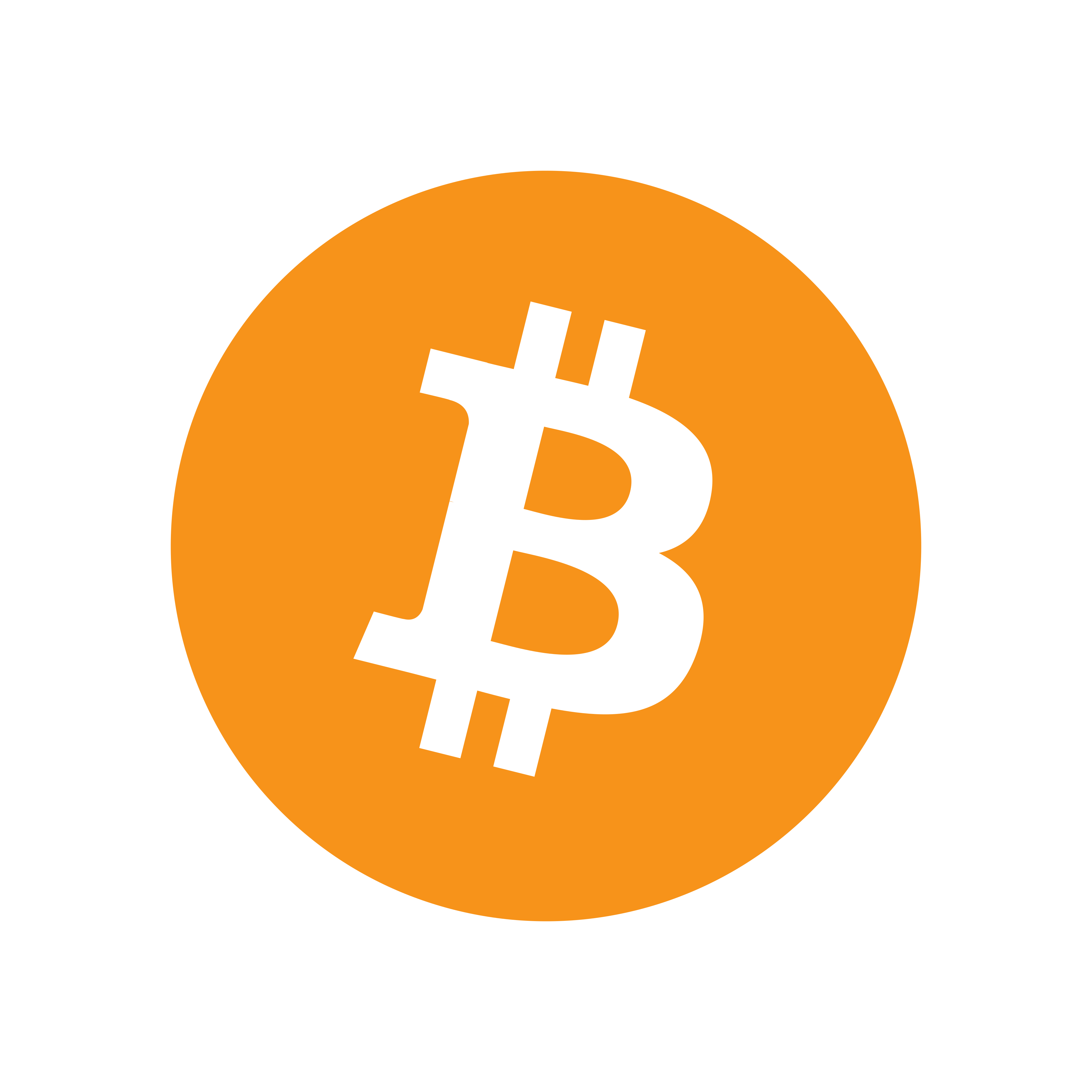 accounting bitcoin logo