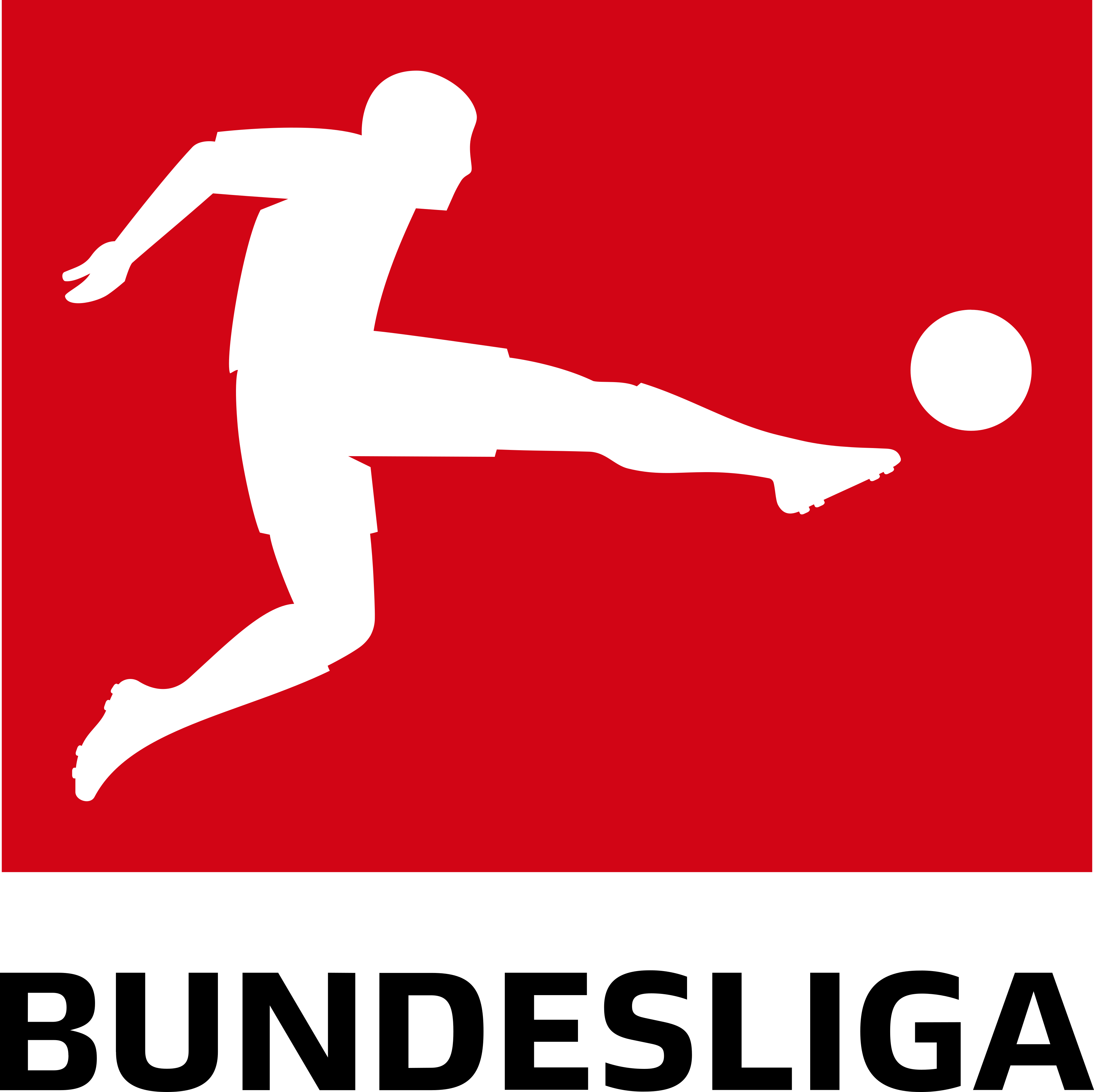 Bundesliga logo.