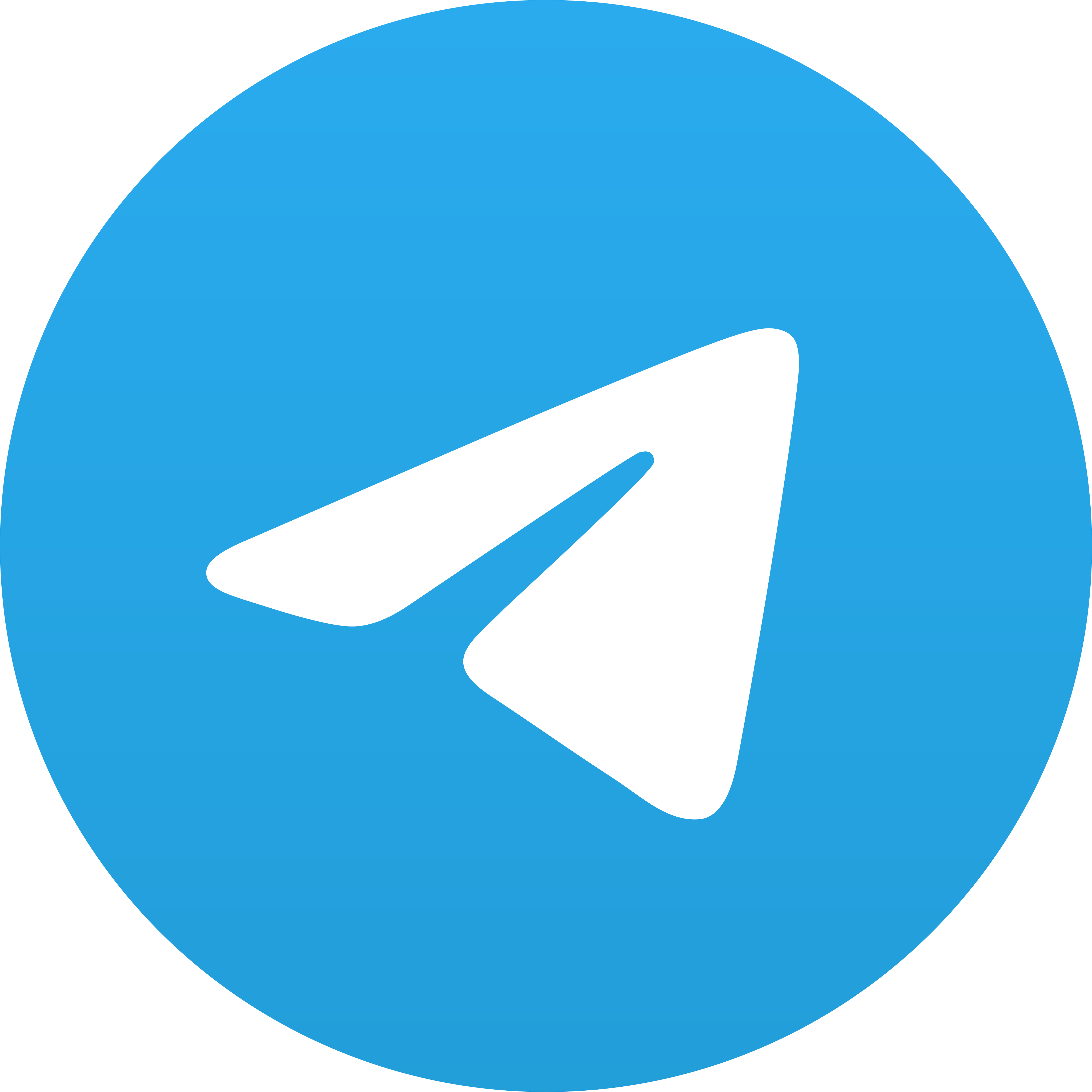 Telegram Logo.