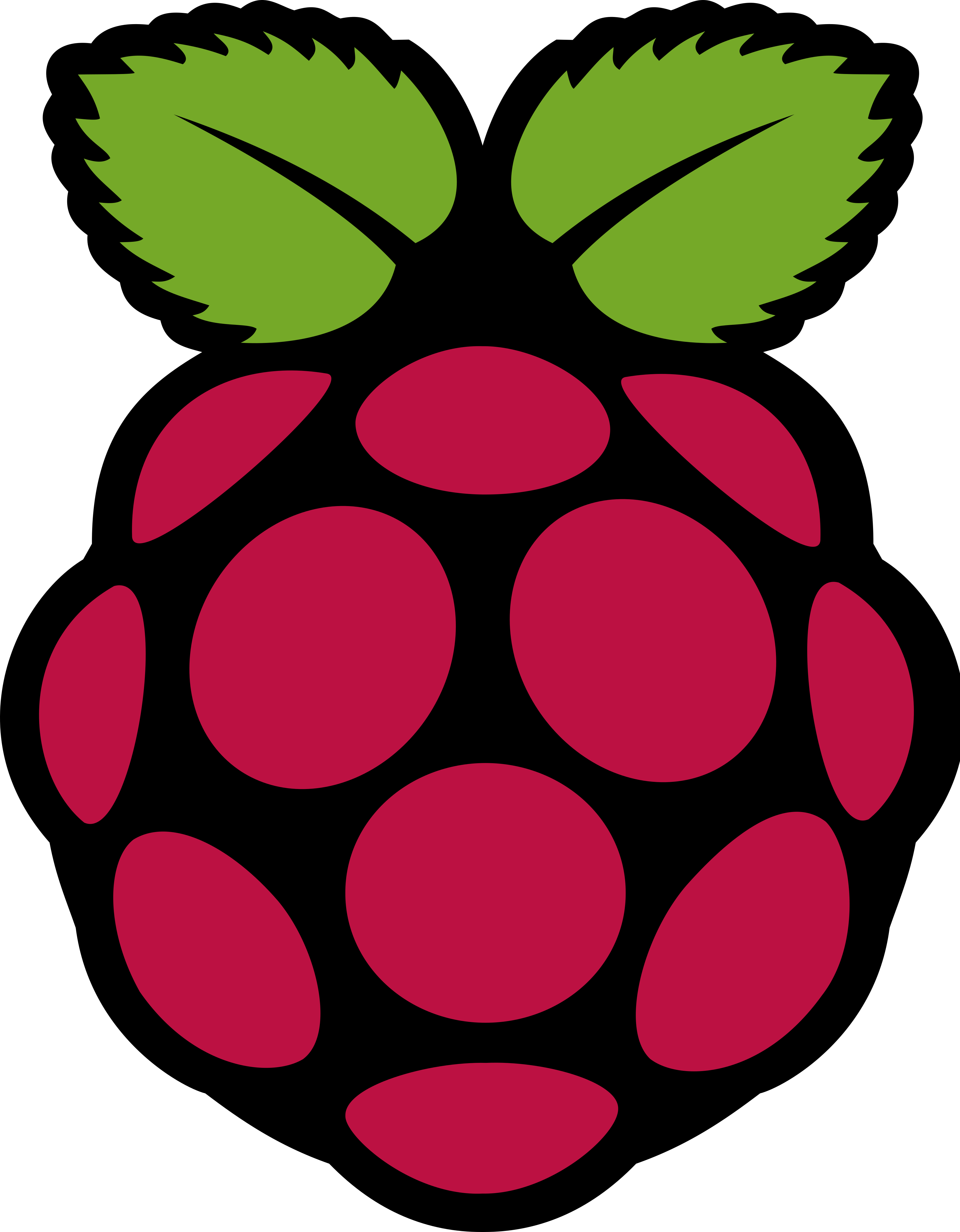 raspberry pi logo.