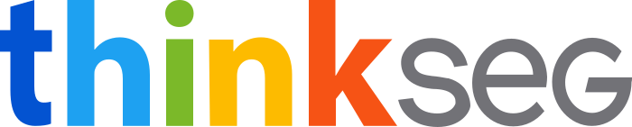 ThinkSeg logo.