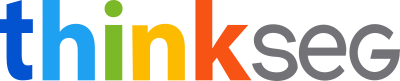 ThinkSeg logo.