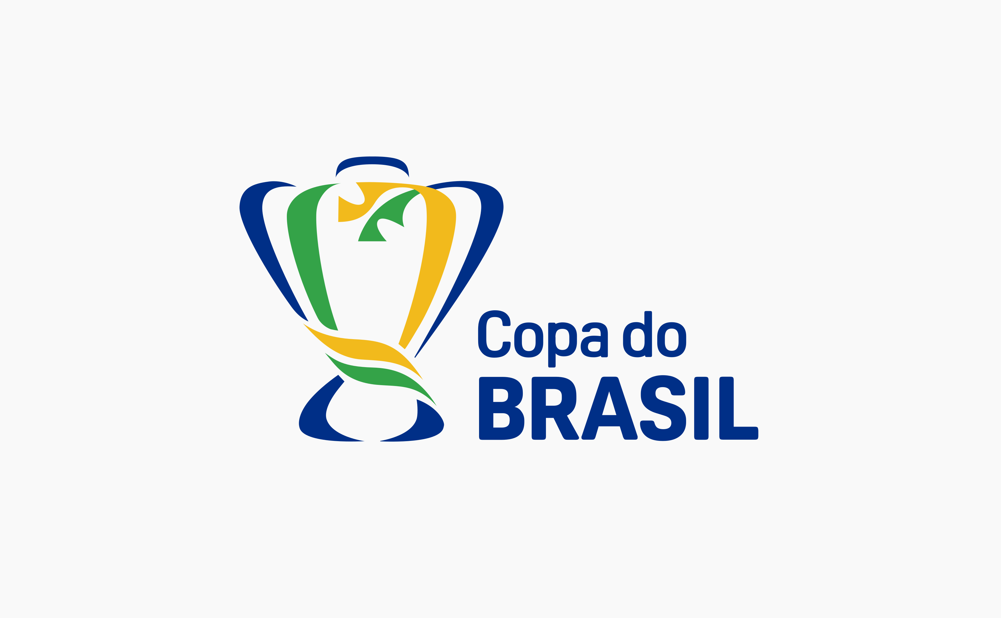 Copa do Brasil Logo - PNG e Vetor - Download de Logo