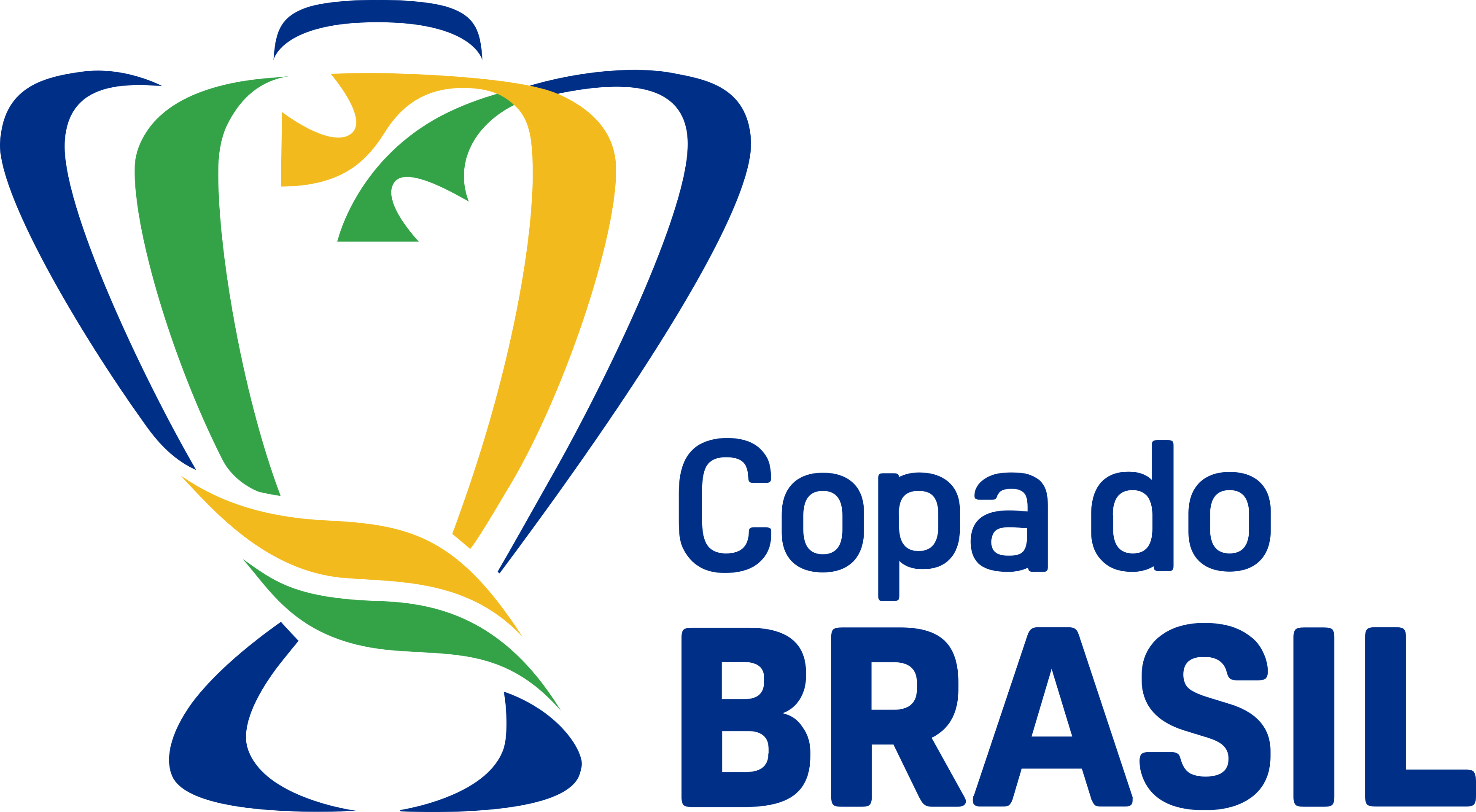 Copa do Brasil Logo - PNG e Vetor - Download de Logo
