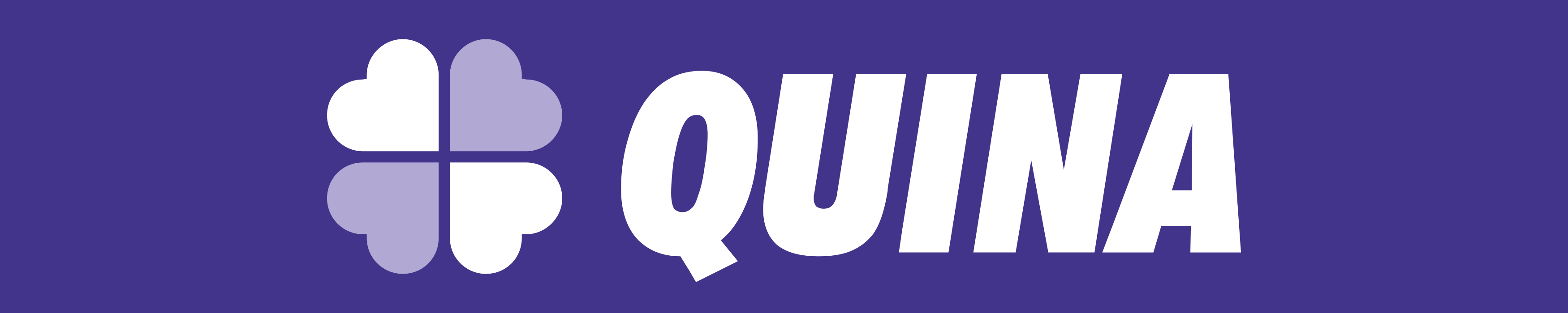 Quina Logo.