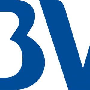 Bbva-logo-1 - PNG - Download De Logotipos