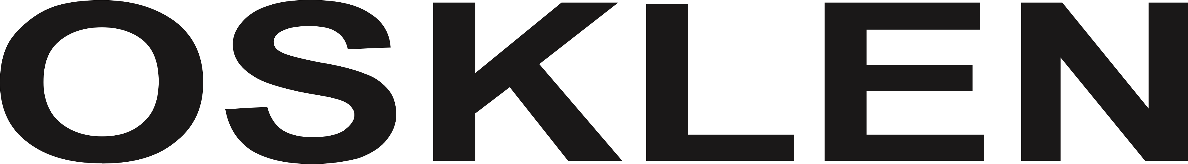 Osklen Logo.