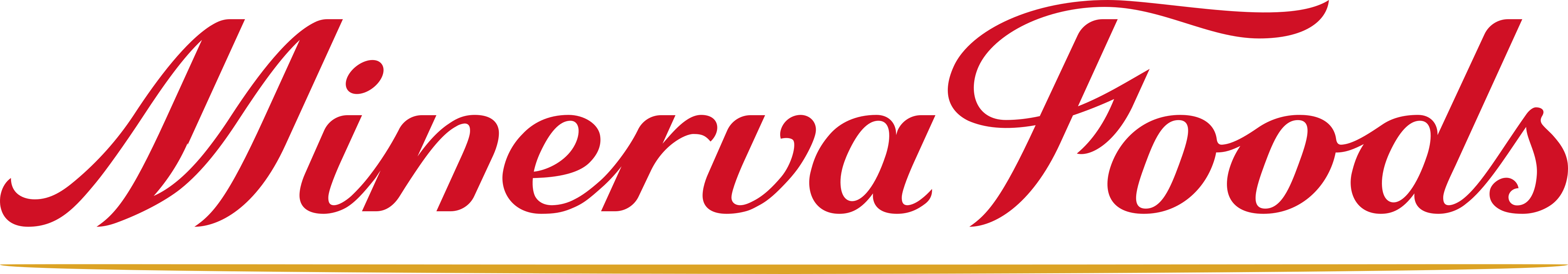 Minerva Foods Logo.