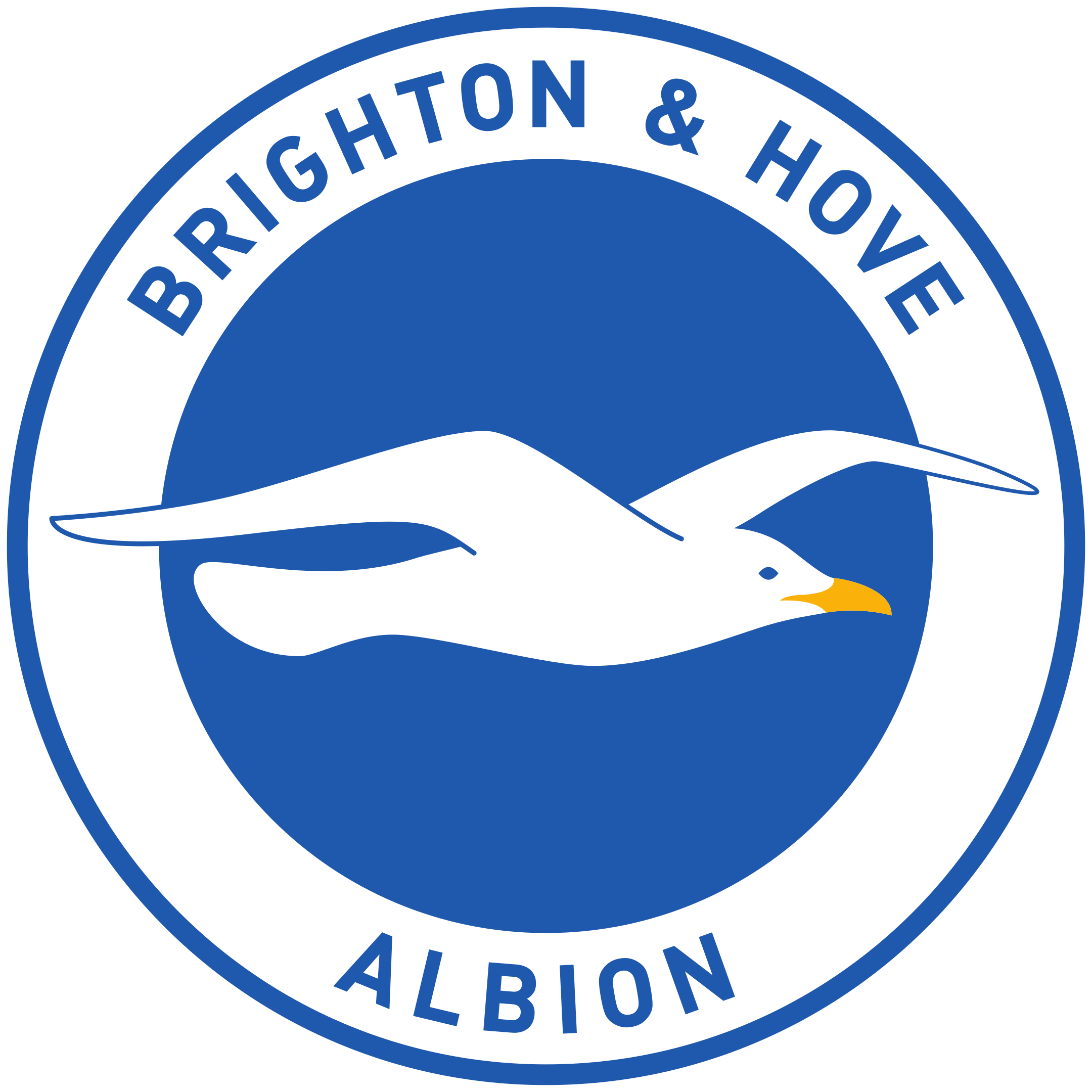 Brighton & Hove Albion FC Logo - PNG and Vector - Logo Download