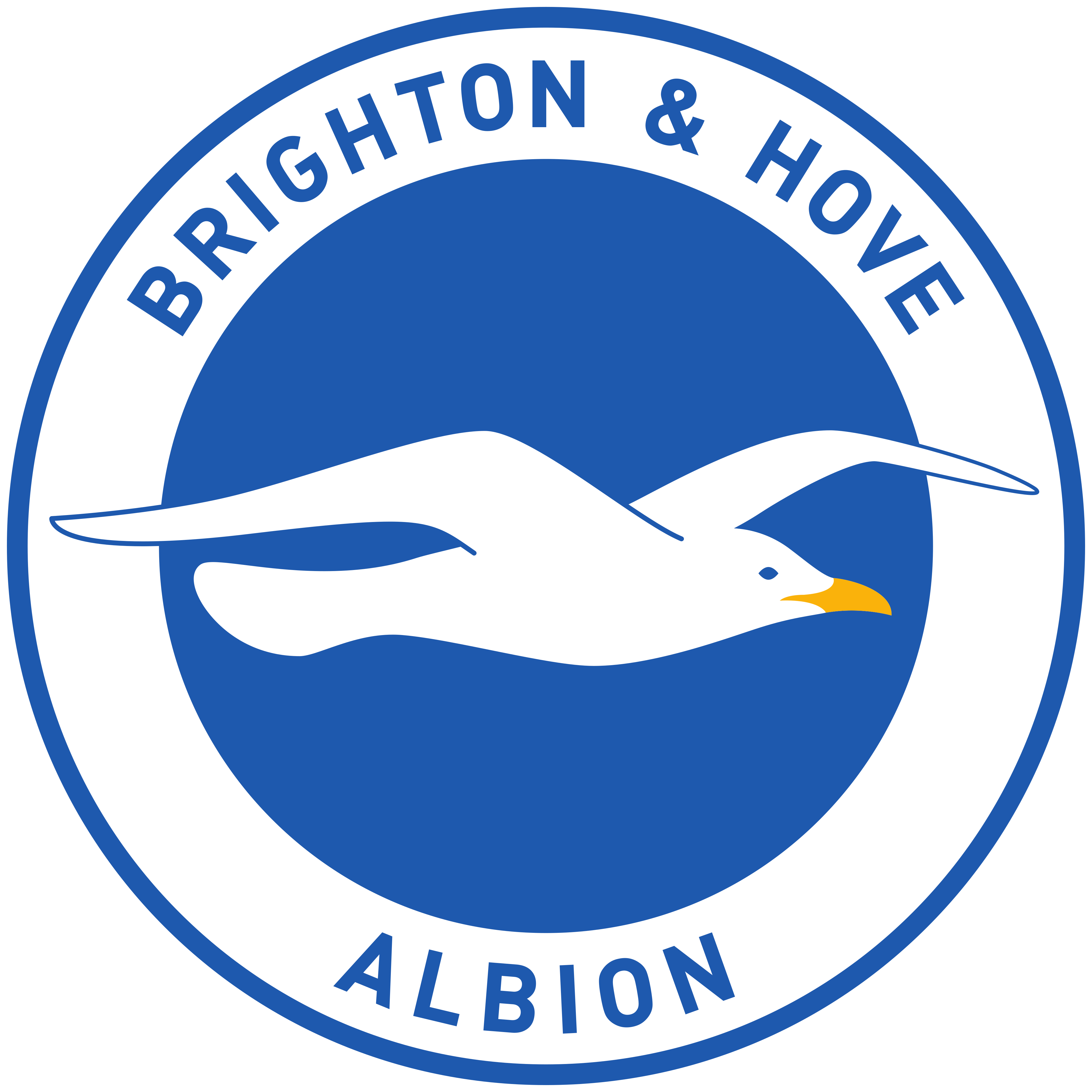 Brighton & Hove Albion FC Logo.