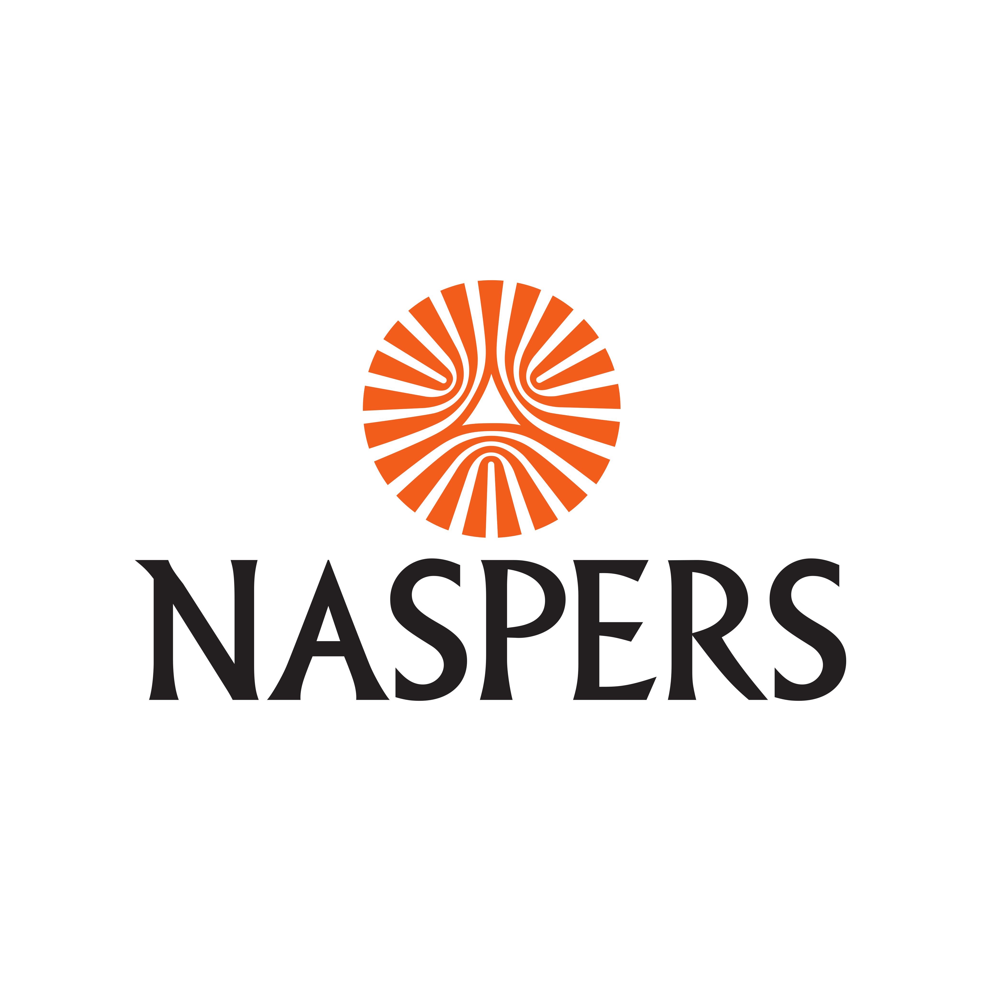 naspers logo 0 - Naspers Logo