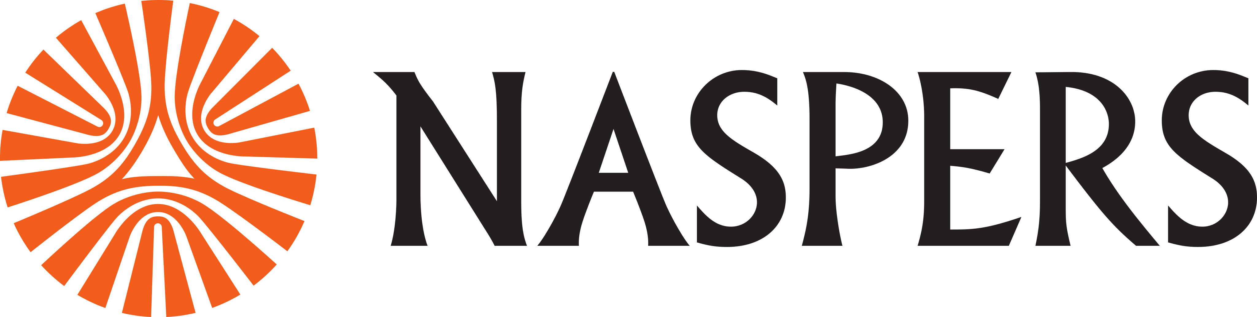 Naspers Logo.