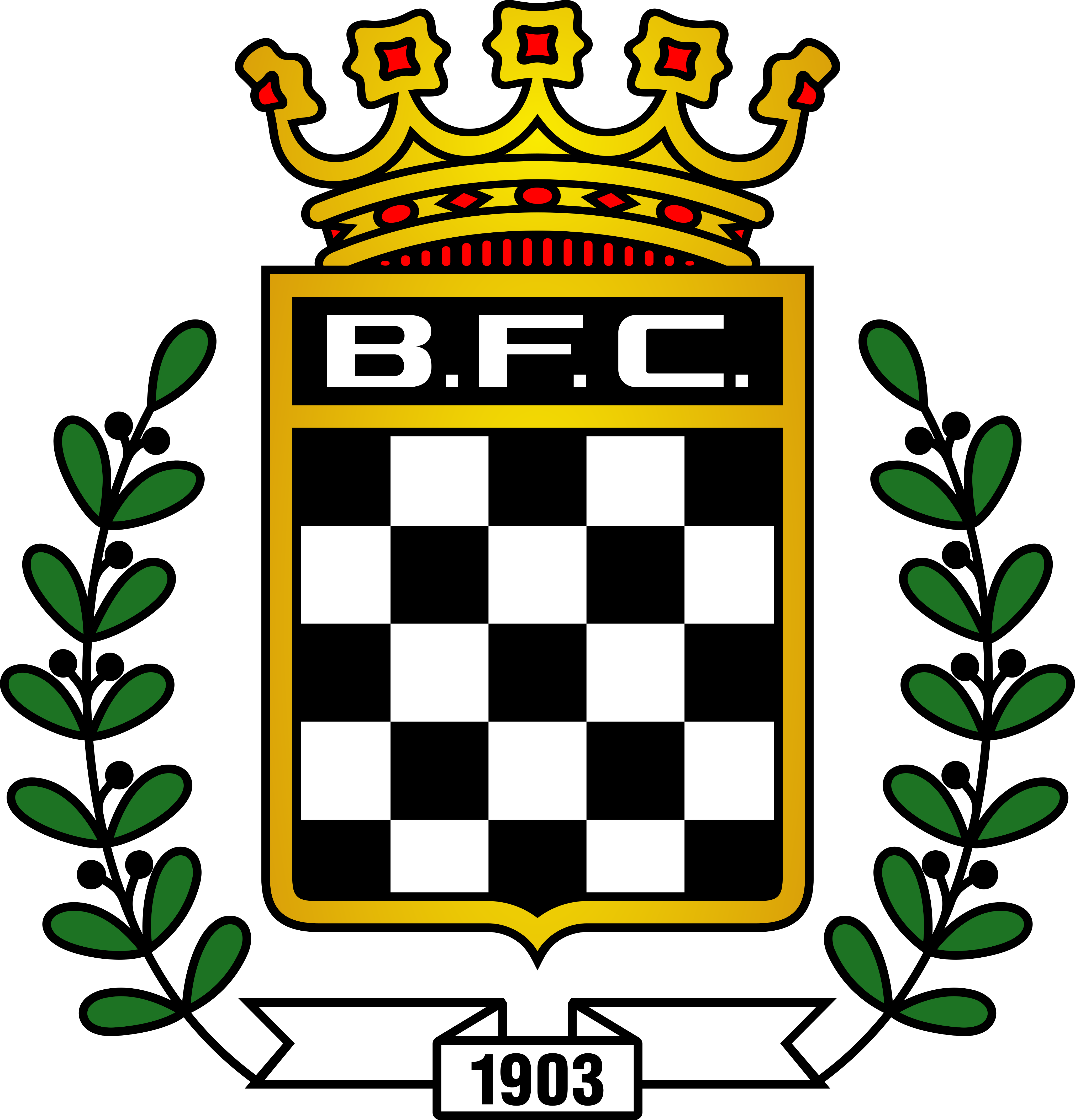 Boavista FC Logo.