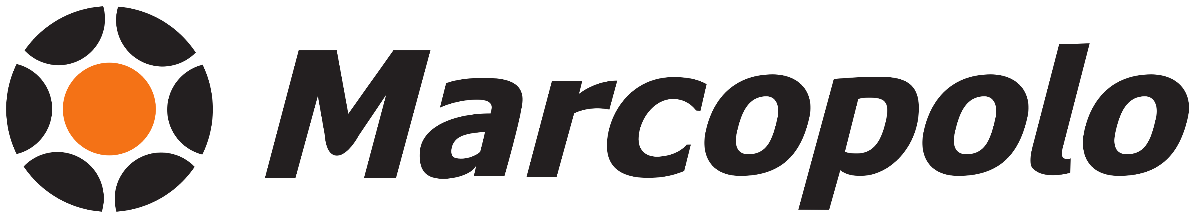 Marcopolo Logo.
