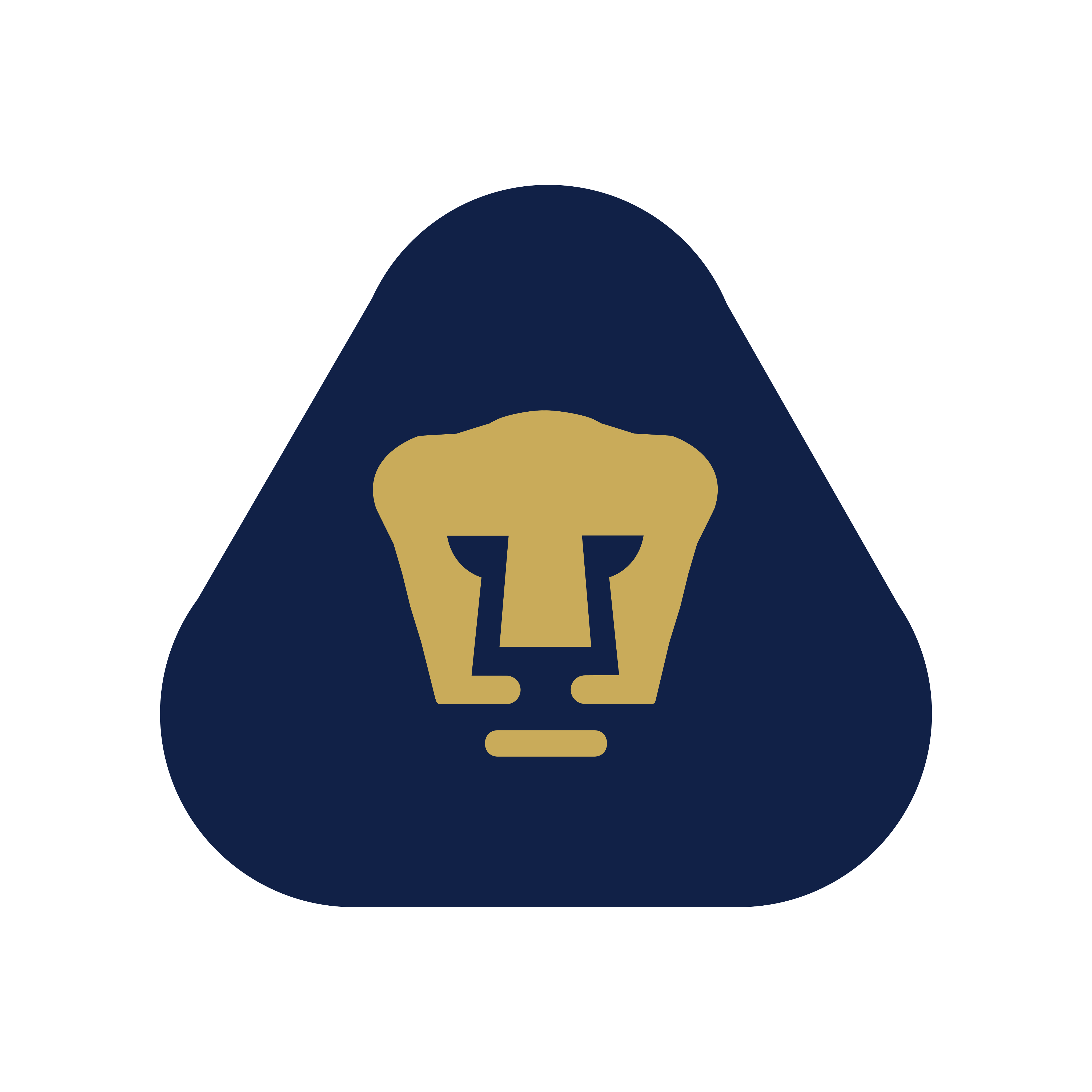 pumas unam logo 0 1 - Pumas UNAM Logo