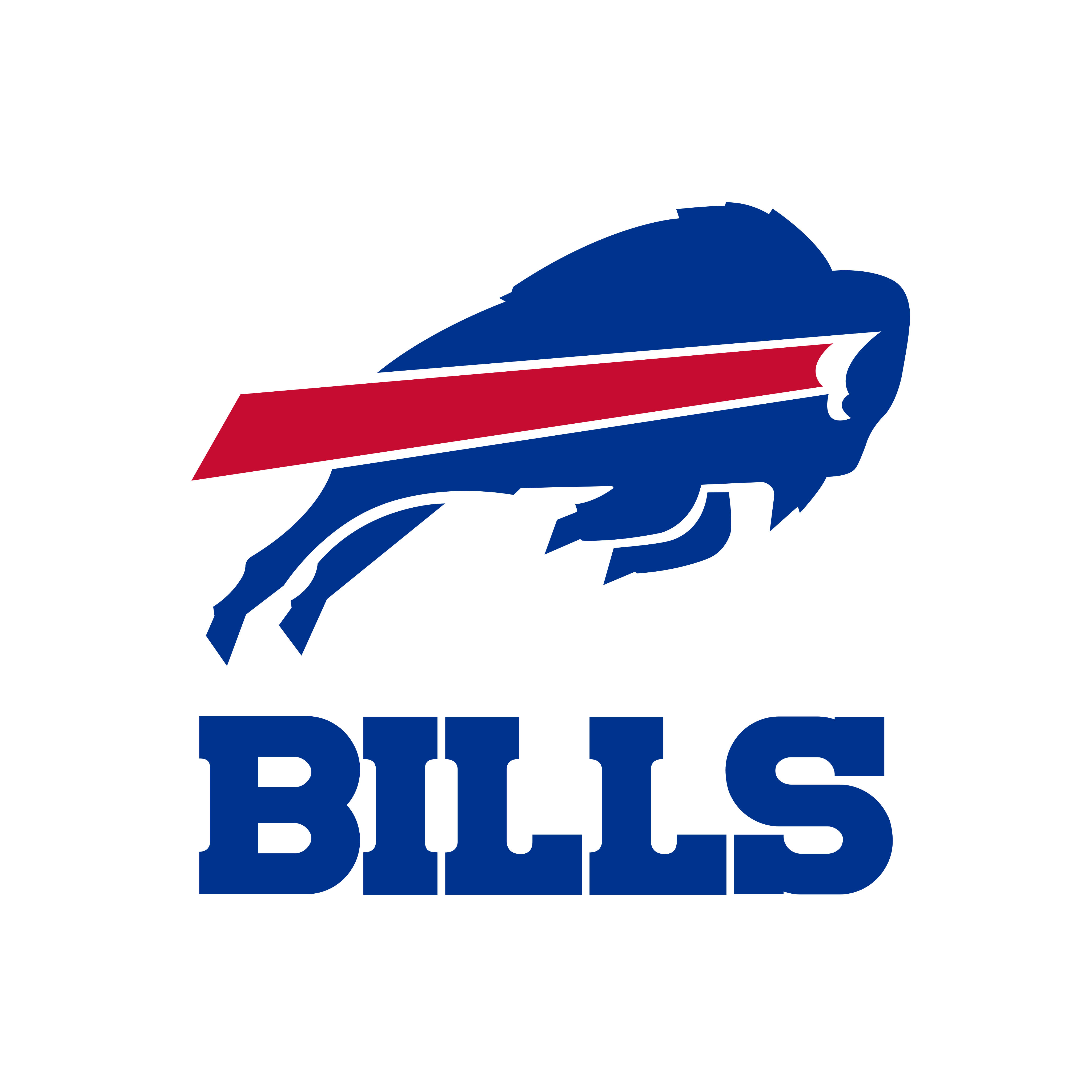 Buffalo Bills Logo PNG y Vector