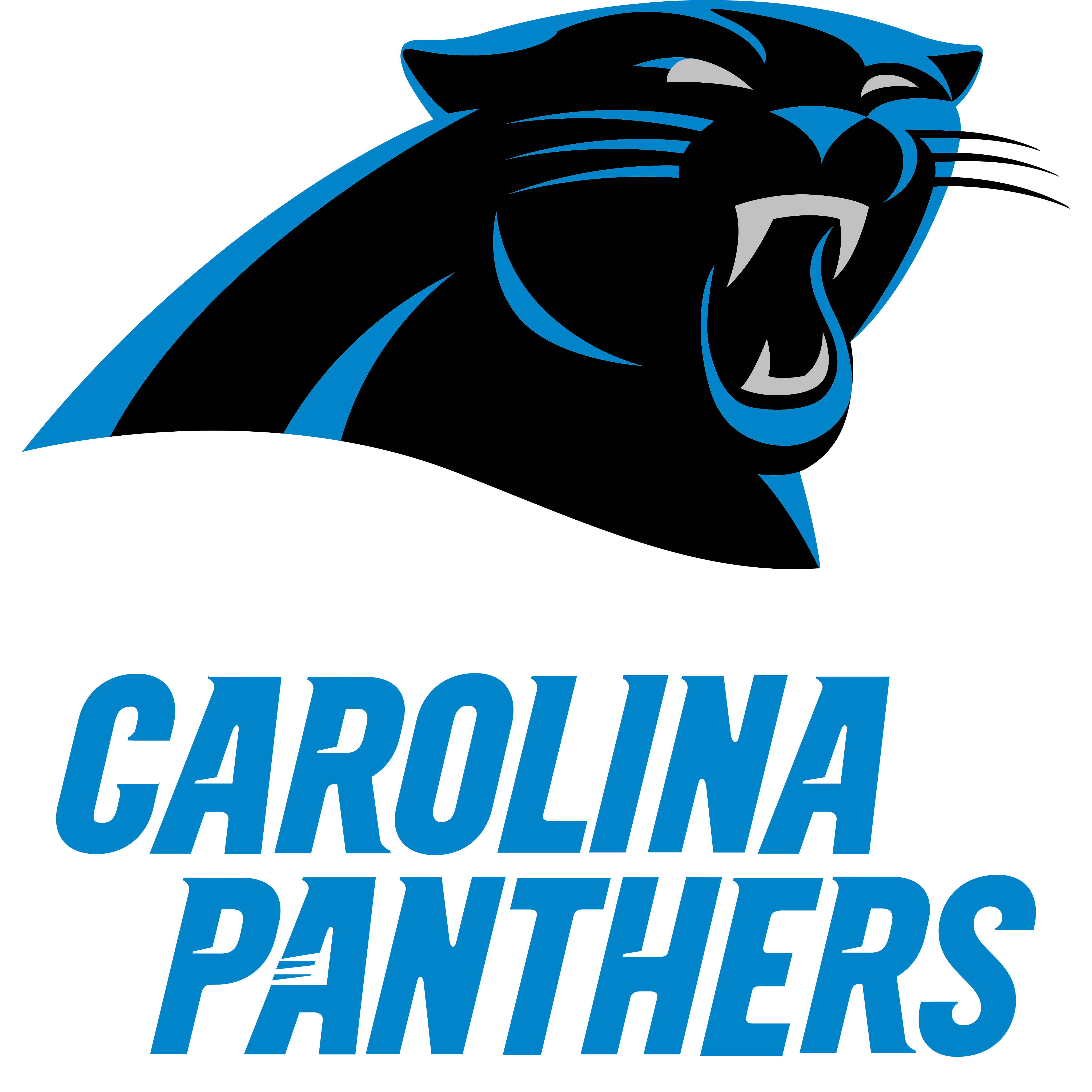 Carolina Panthers Logo Png And Vector Logo Download