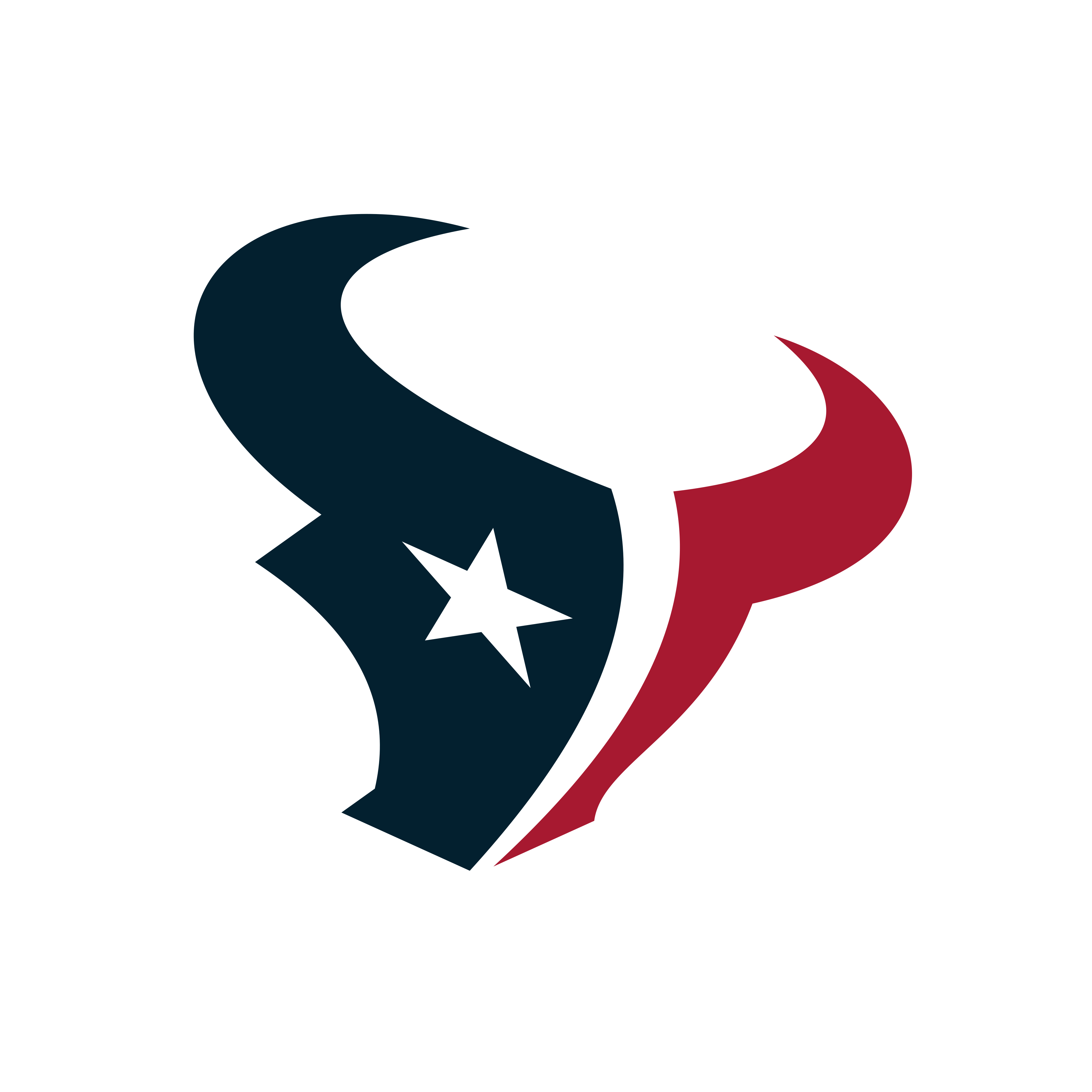 Houston Texans Logo PNG.