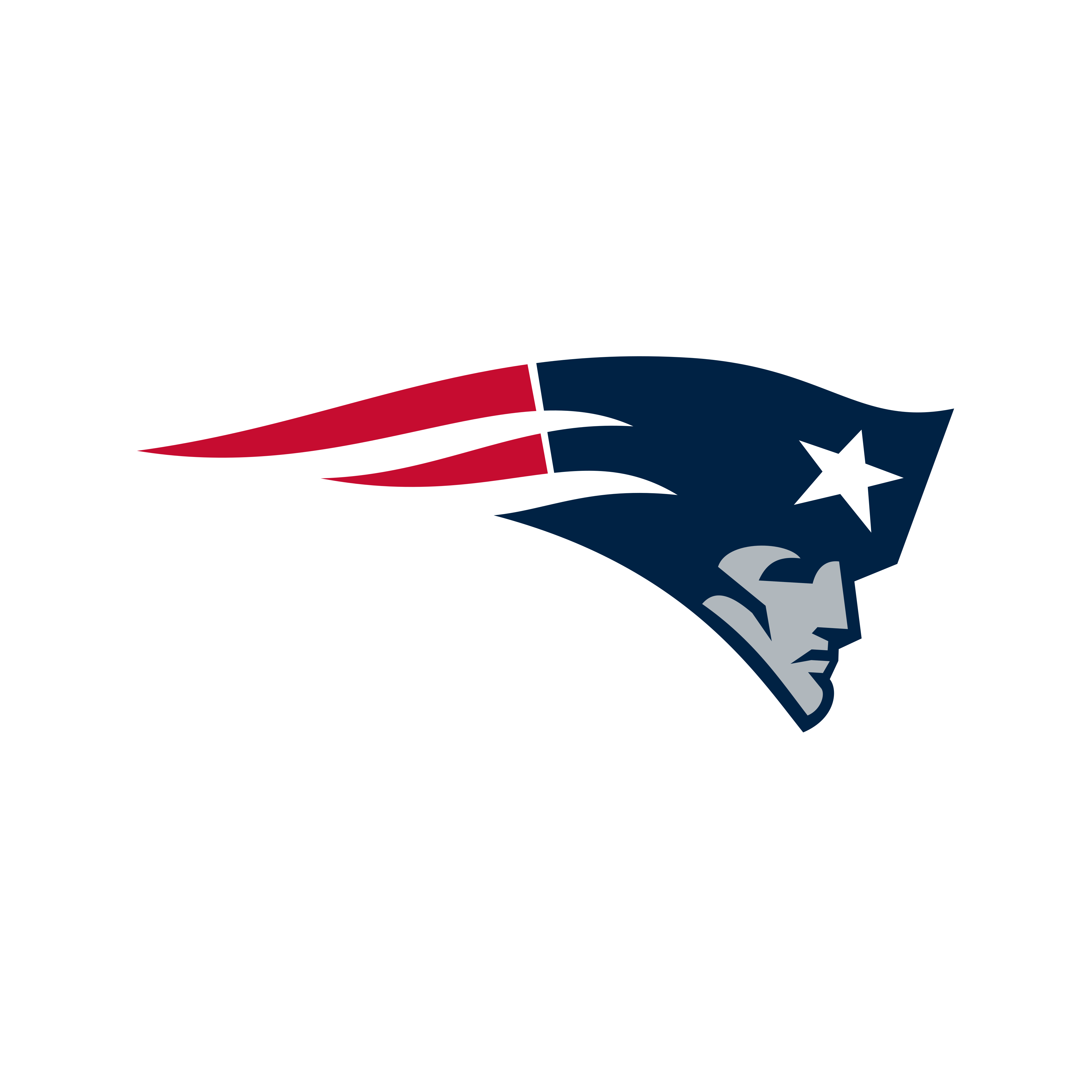 New England Patriots Logo PNG.