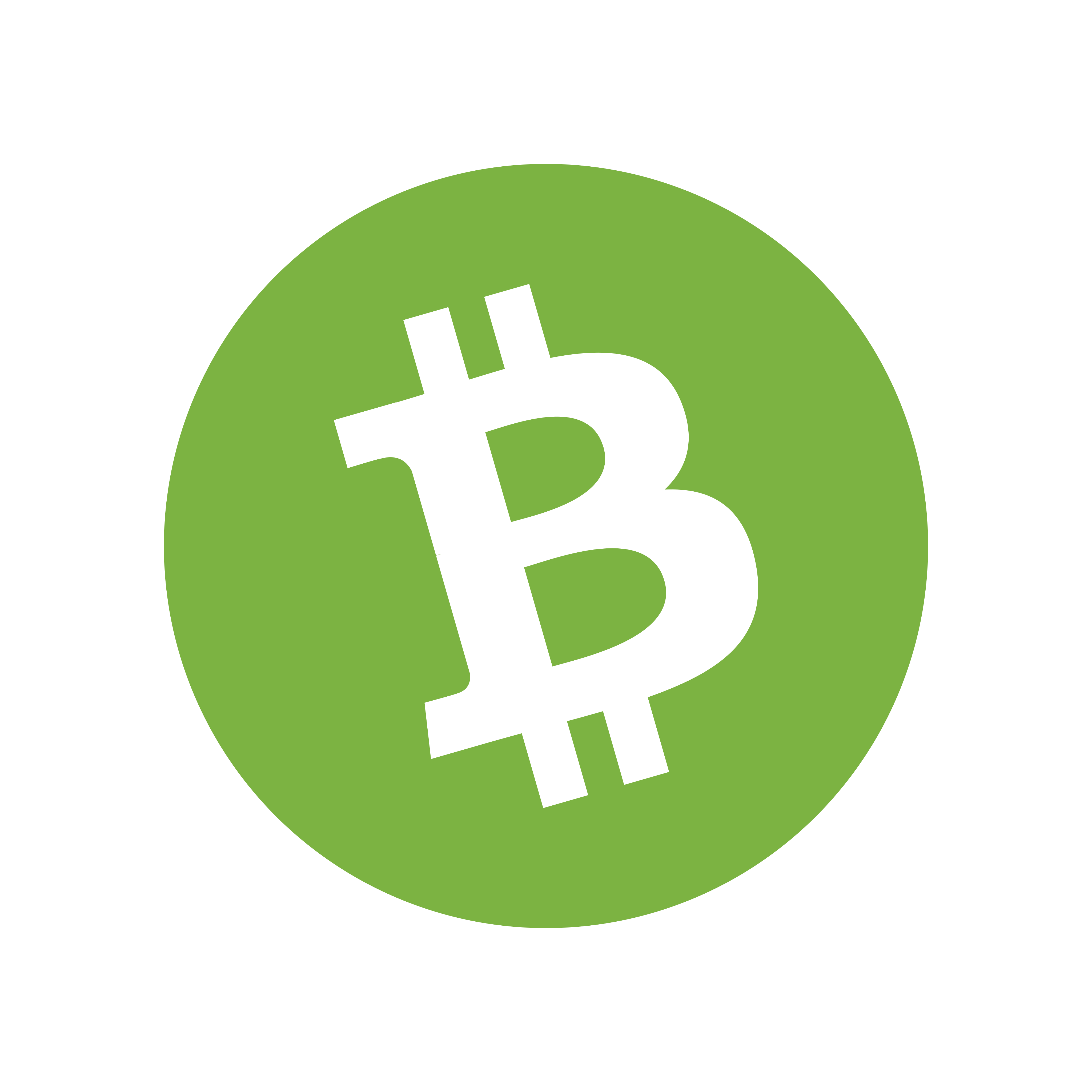 bitcoin cash logo vector