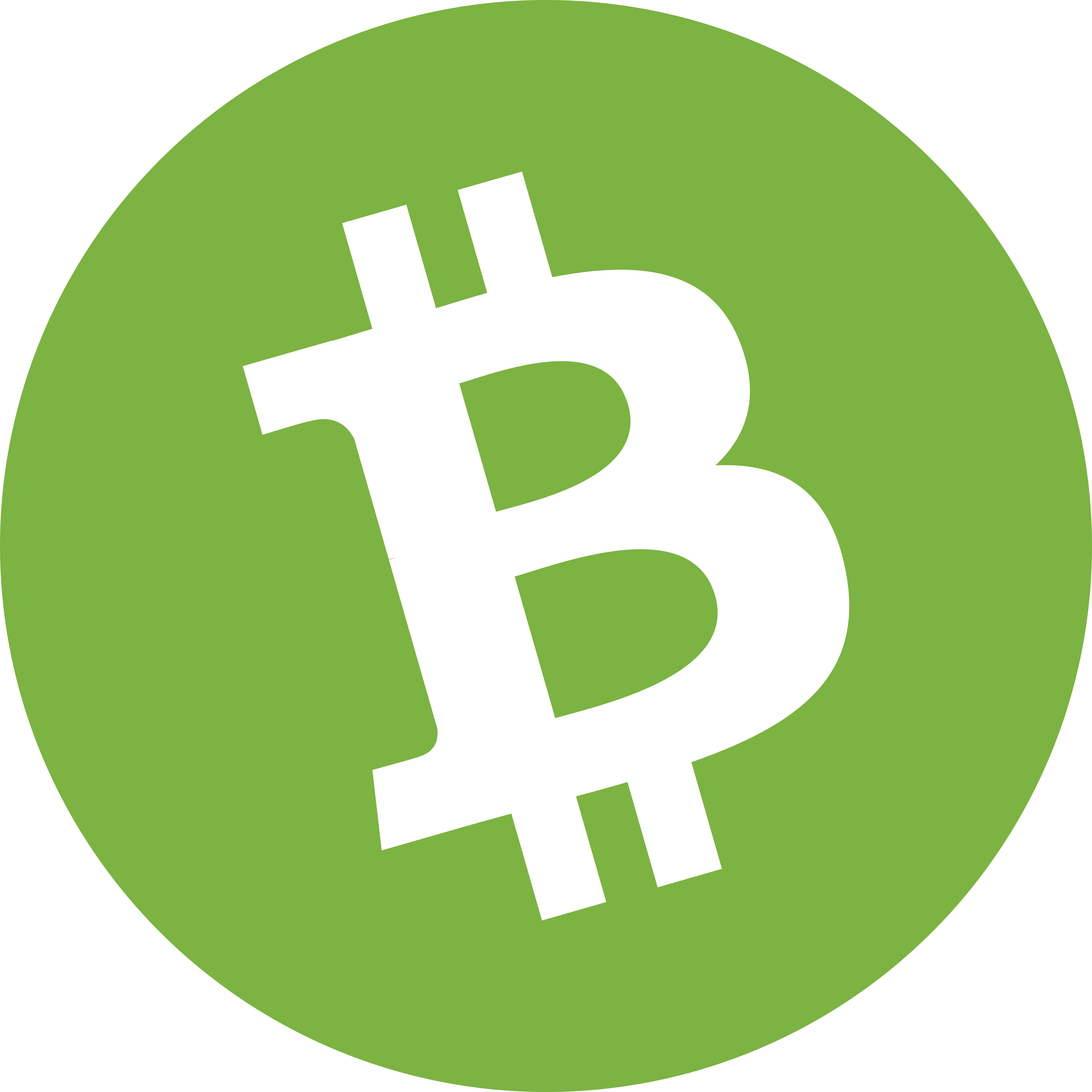 Bitcoin Cash Logo.