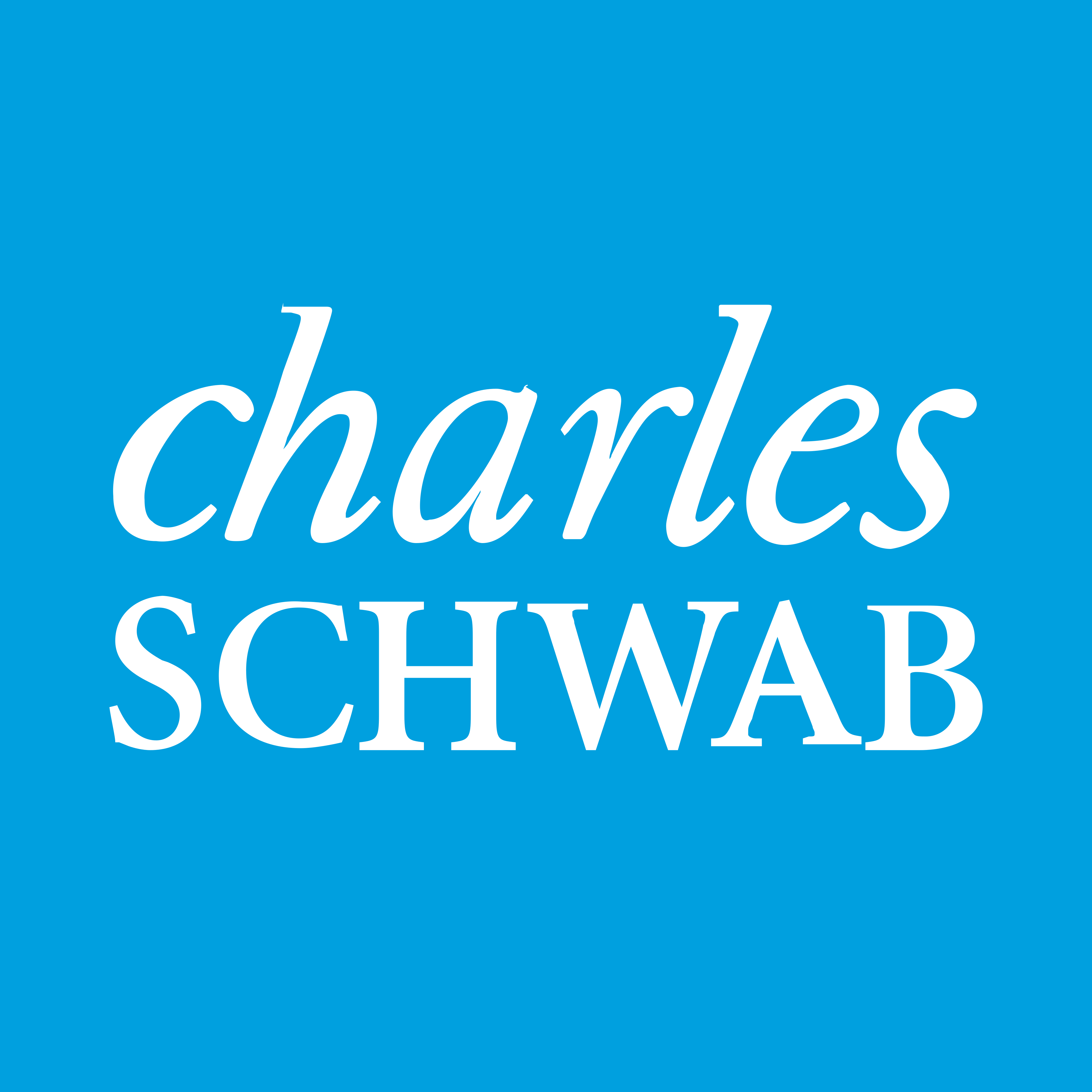 Charles Schwab Logo.