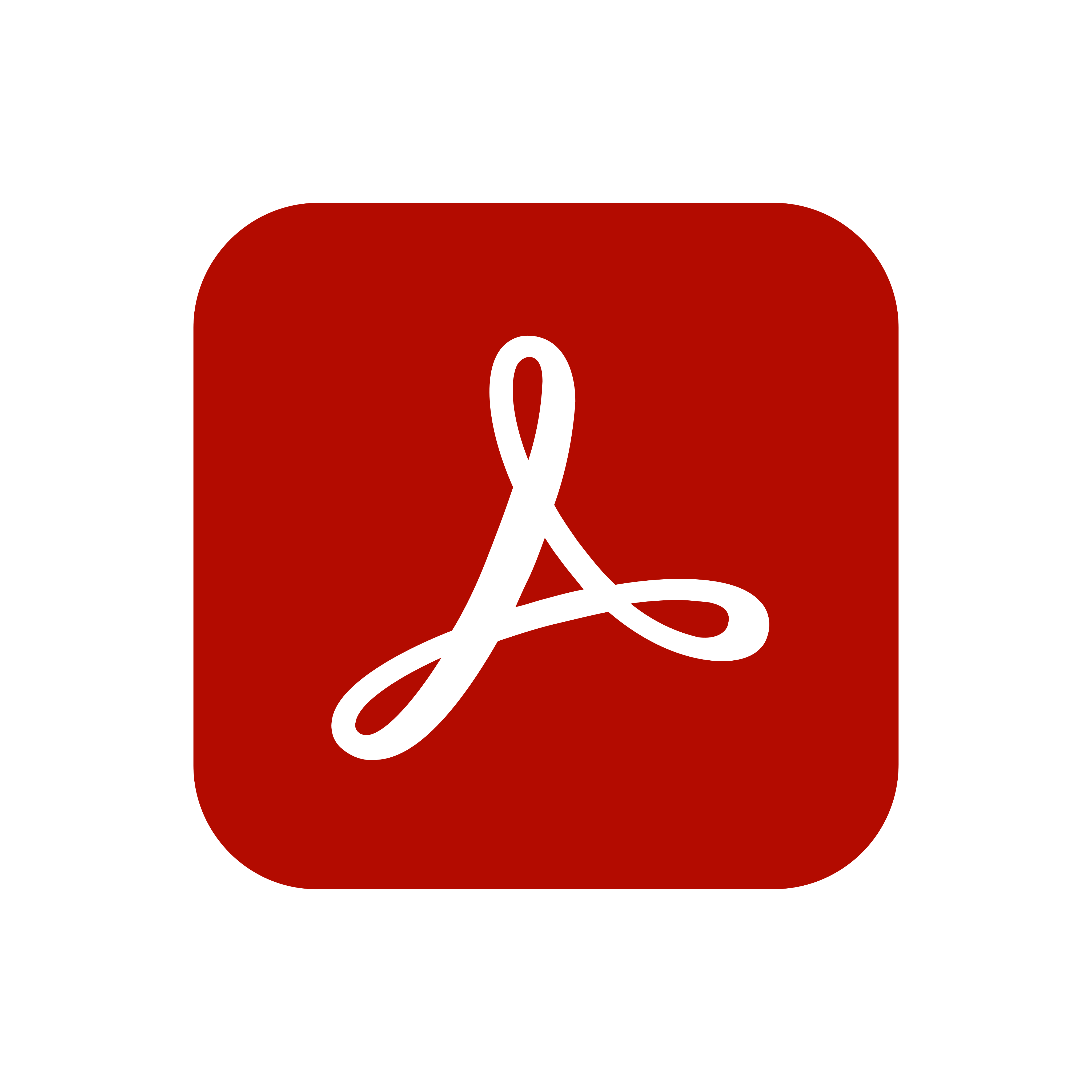 Adobe Acrobat Reader Logo PNG.