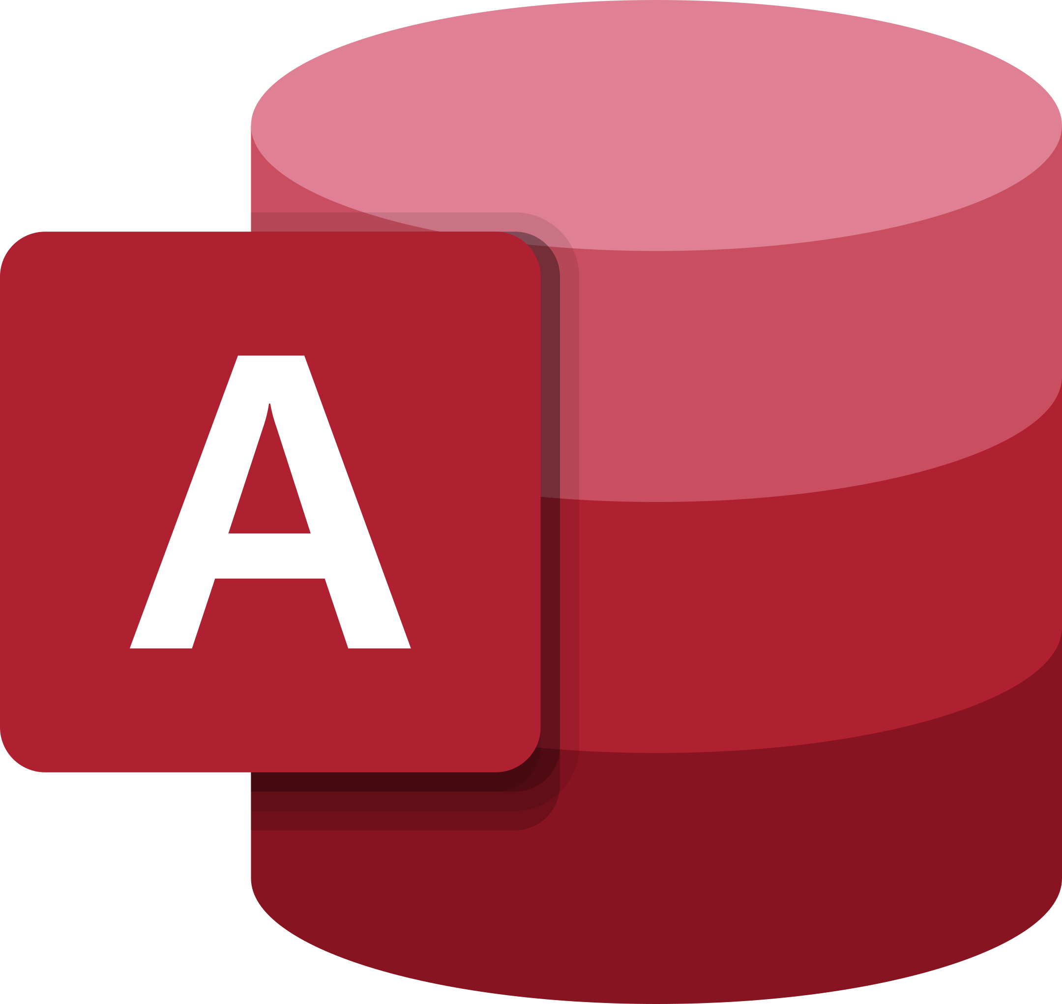 Microsoft Access Logo.